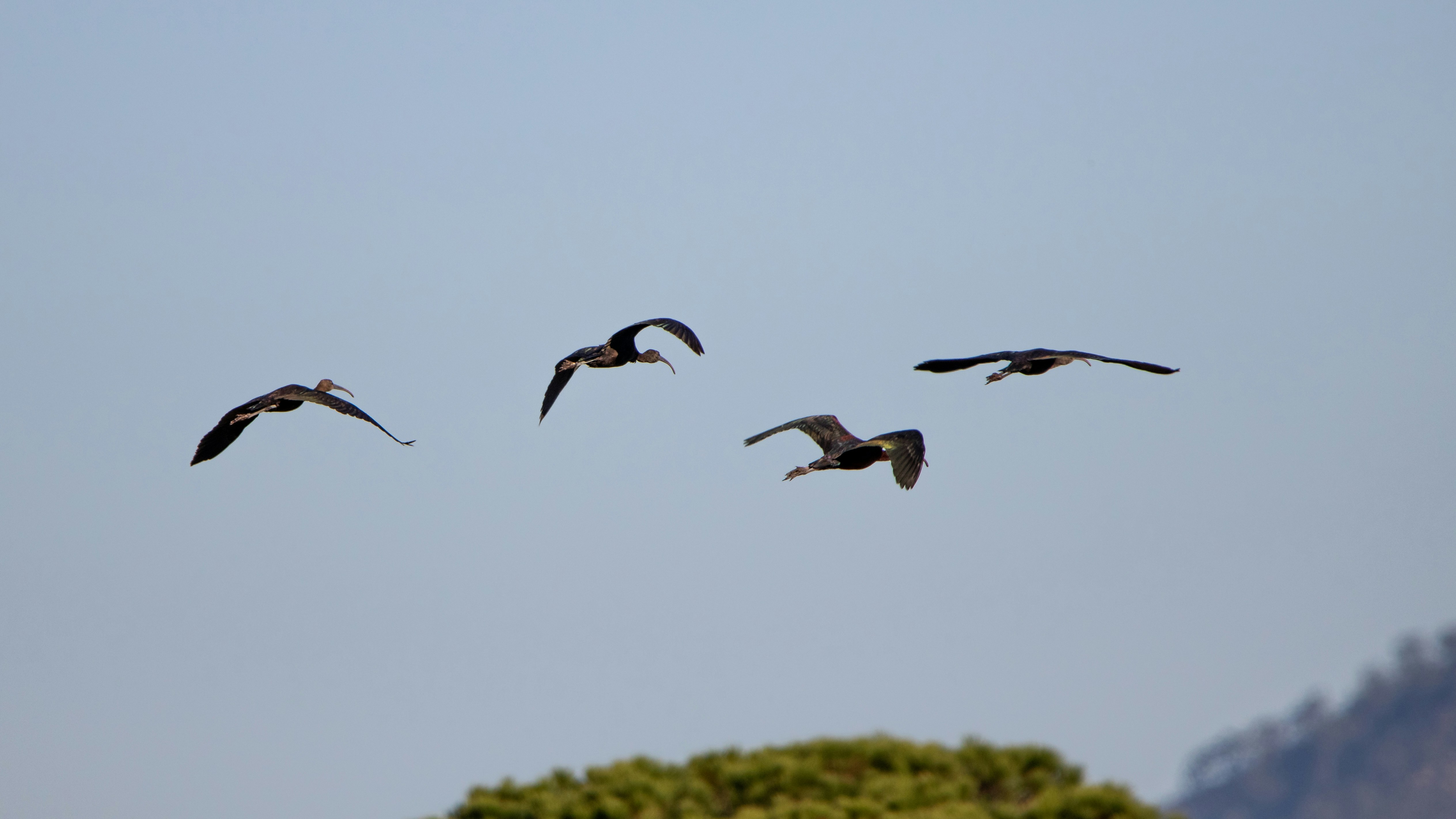 Photo by matthieur68