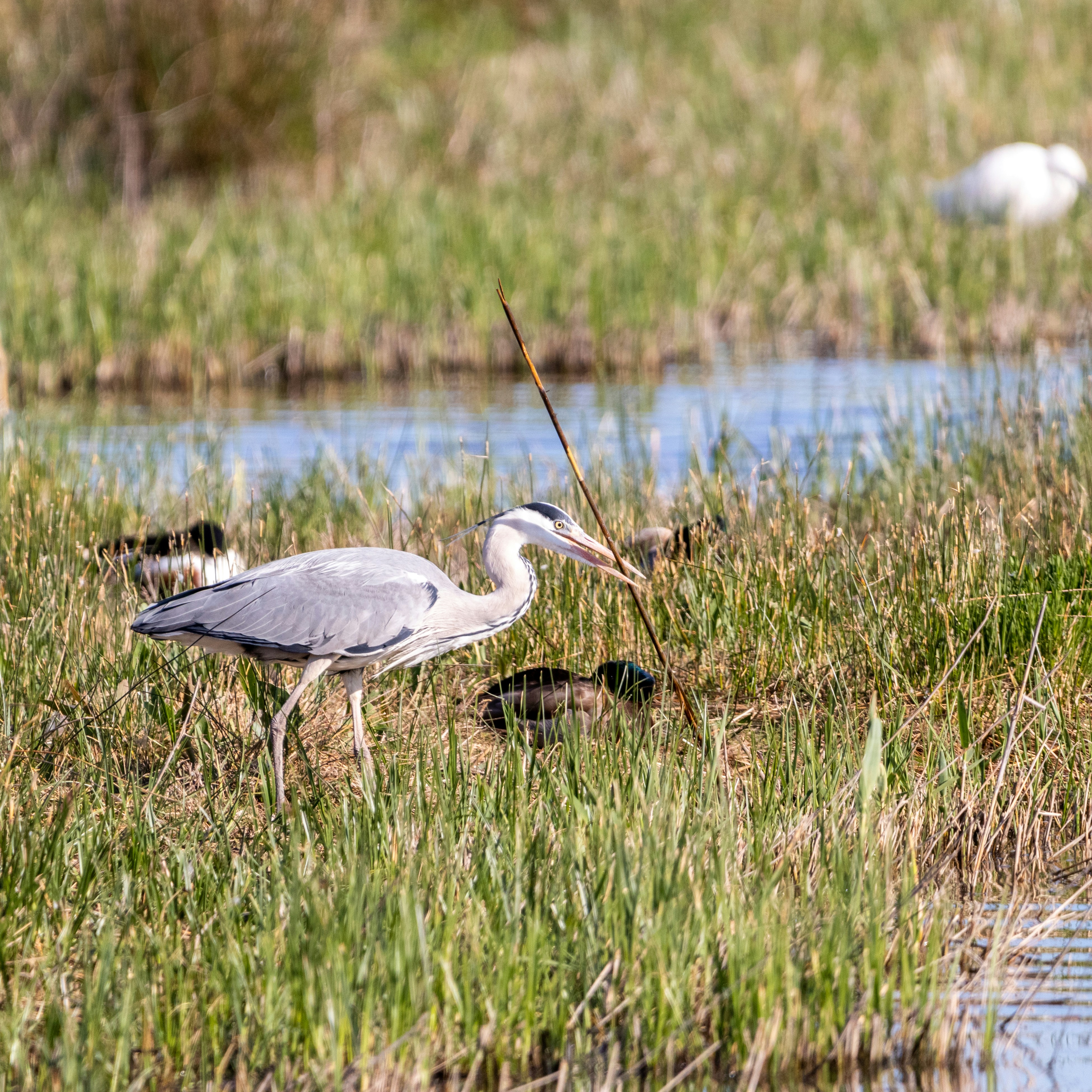 Photo by matthieur68