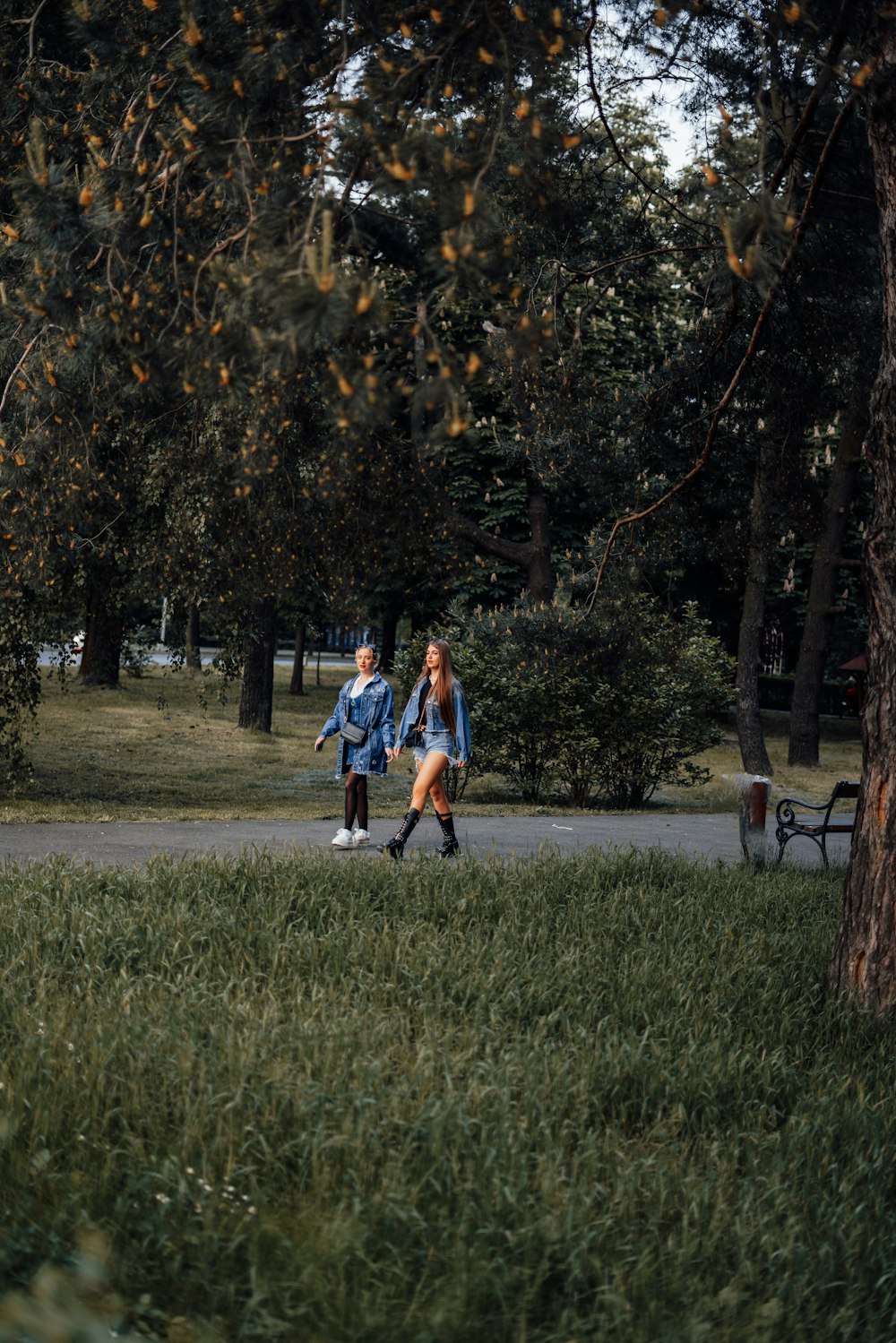 a man and a woman walking through a park
