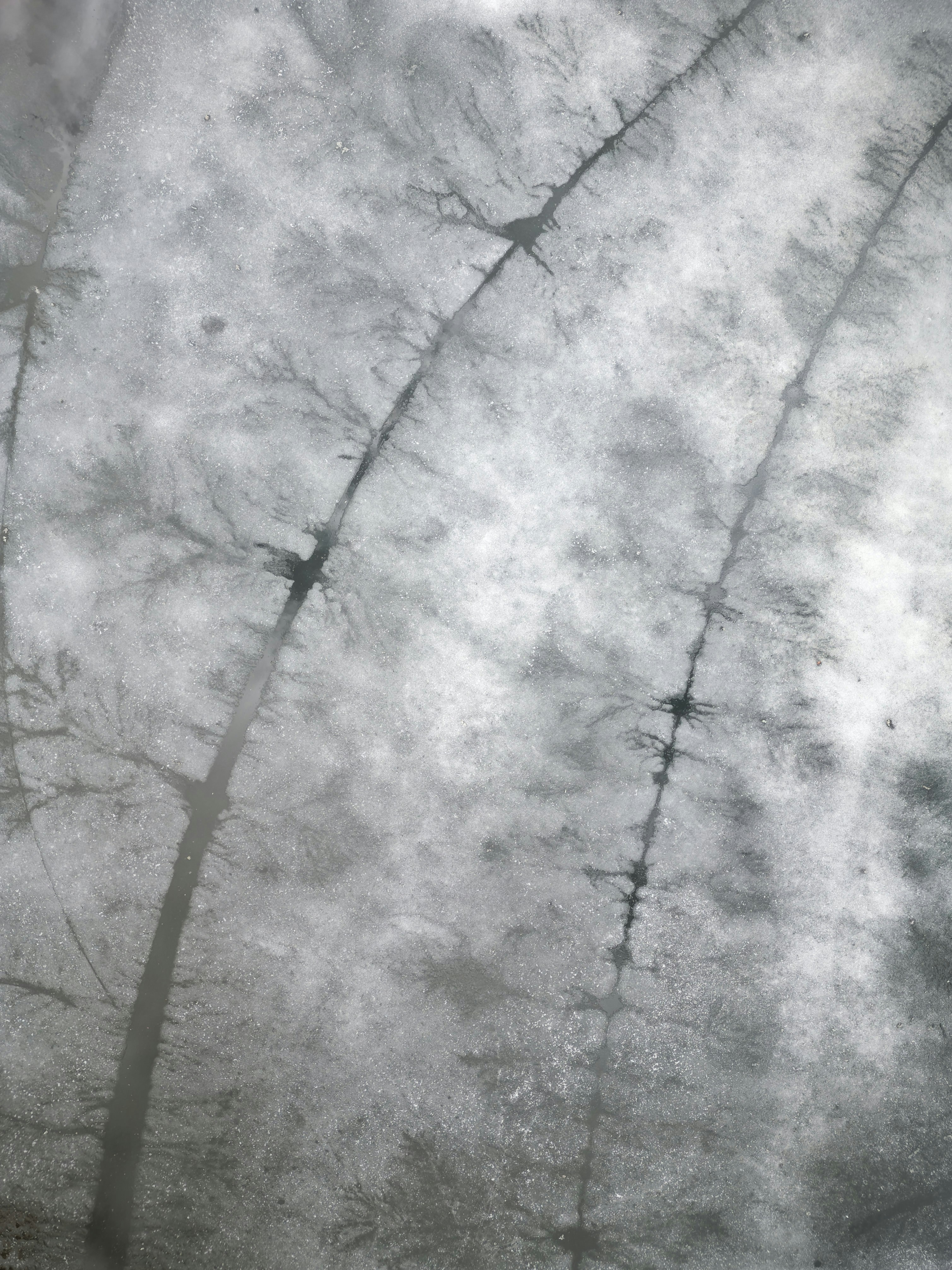 a black and white photo of trees in the snow