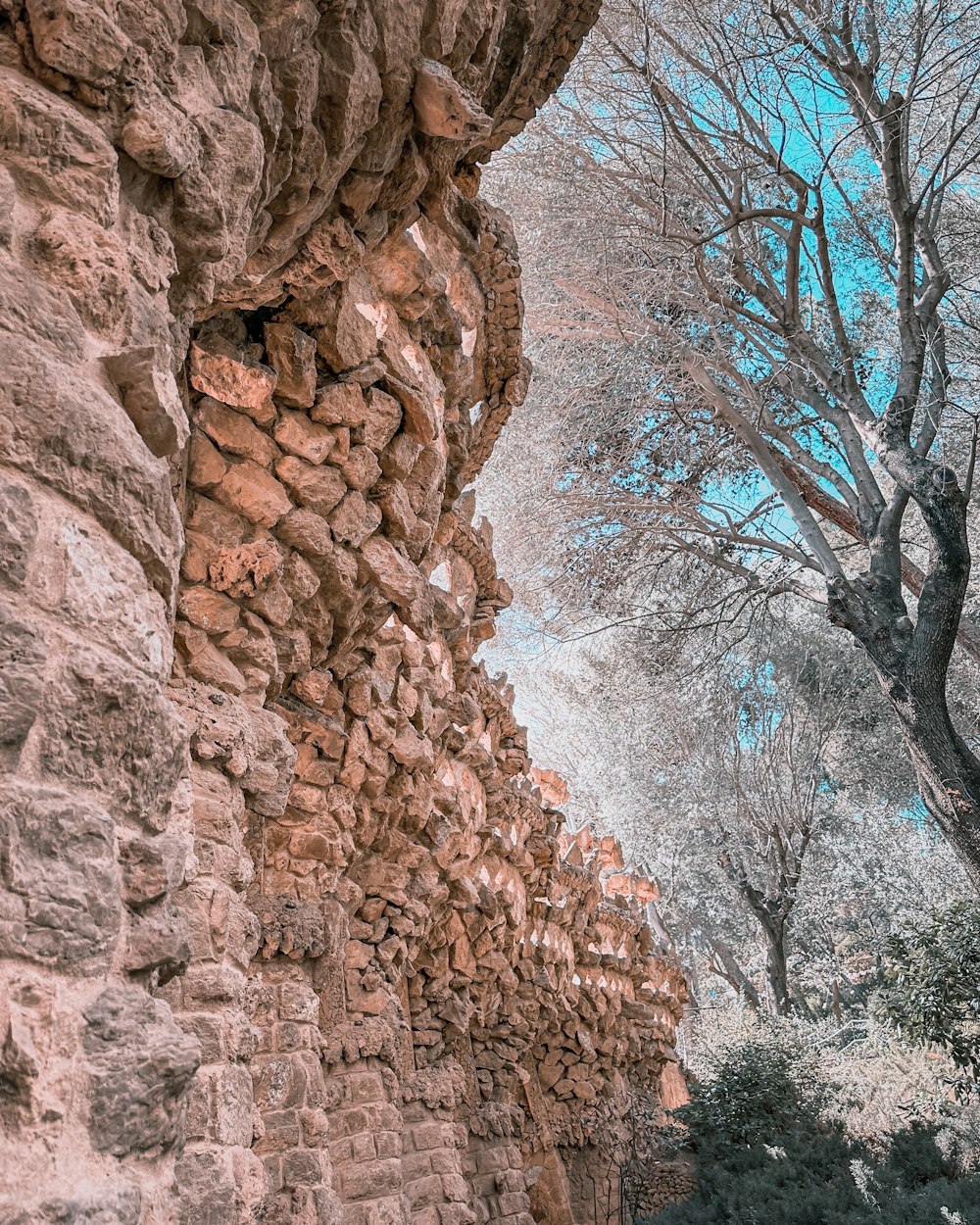 a stone wall with a tree in the background