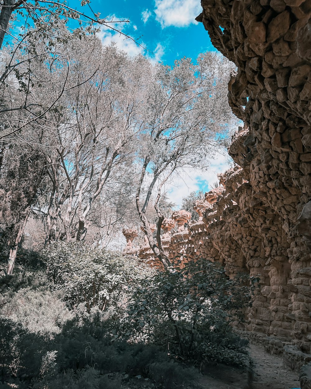 a view of trees and bushes through a window