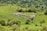 A large flock of sheep grazing on a lush green hillside surrounded by trees and shrubs. The landscape is expansive and serene, with rolling hills and patches of dense vegetation.