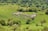 A large flock of sheep grazing on a lush green hillside surrounded by trees and shrubs. The landscape is expansive and serene, with rolling hills and patches of dense vegetation.