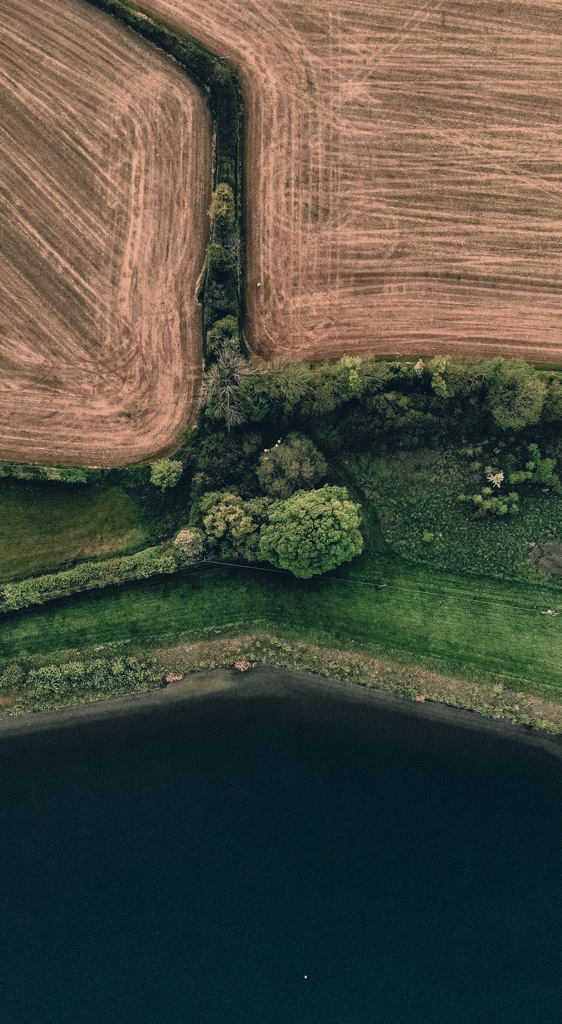 Photo by denleyjones