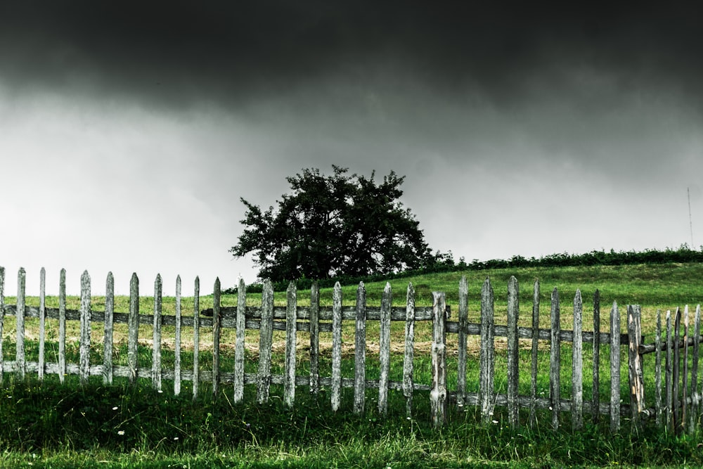 a wooden fence with a tree in the background