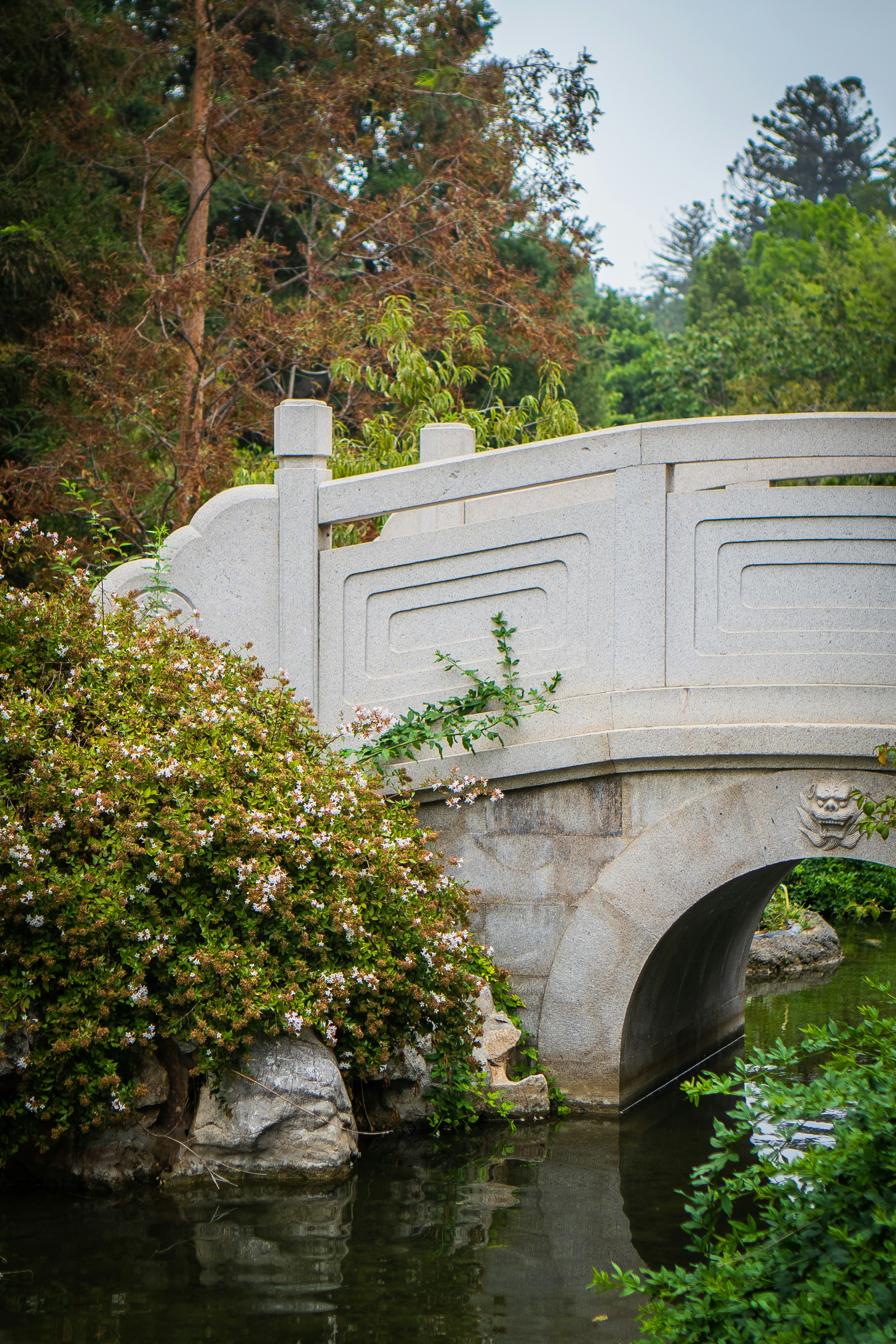 Photo by zhenyao_photo