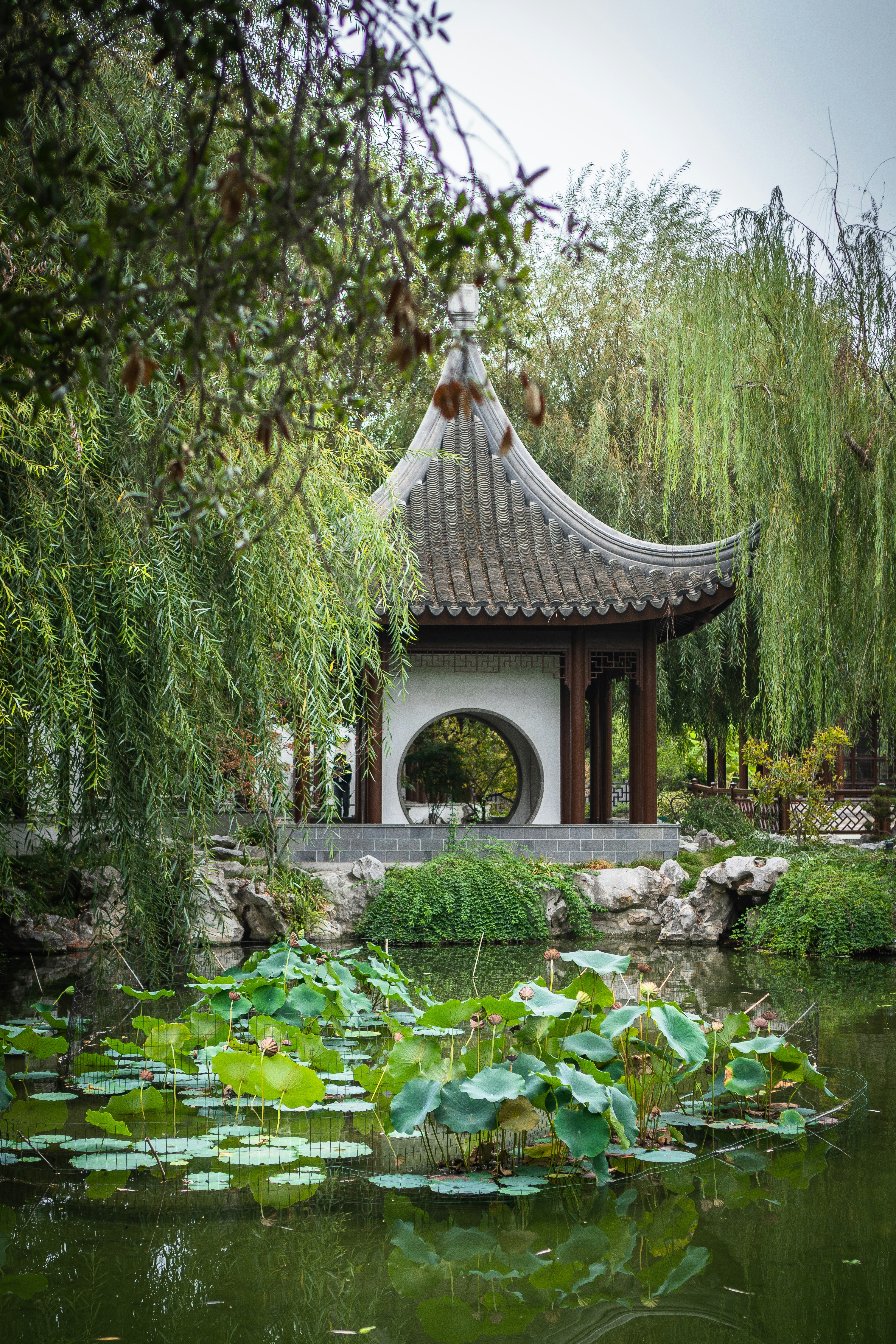 Photo by zhenyao_photo