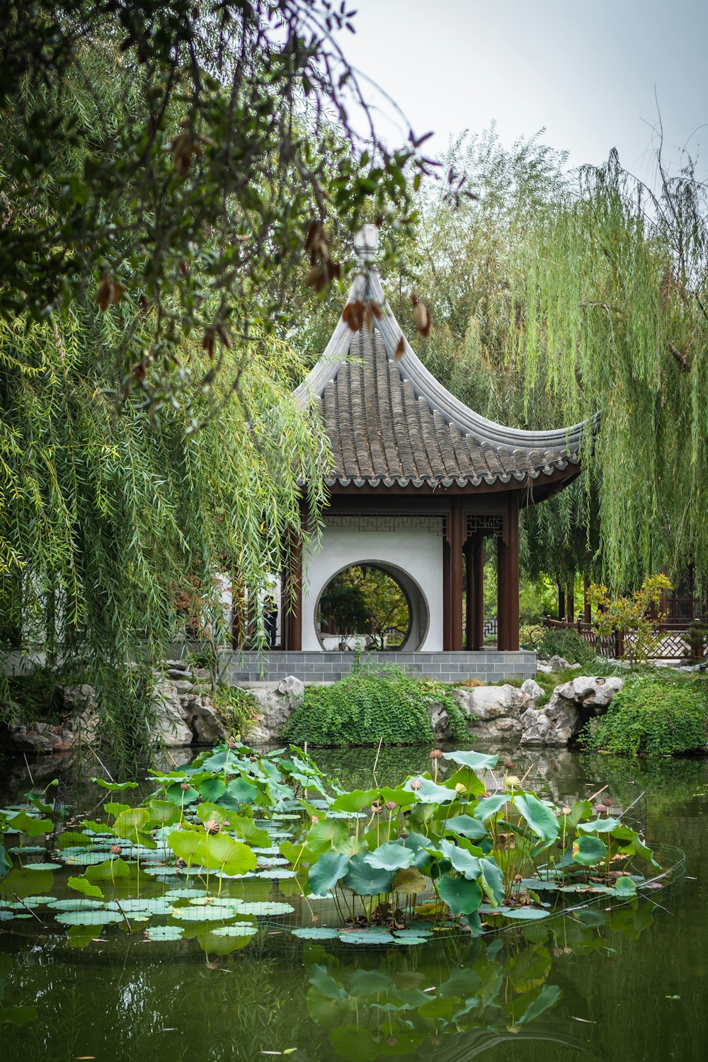 a gazebo surrounded by water lilies and trees