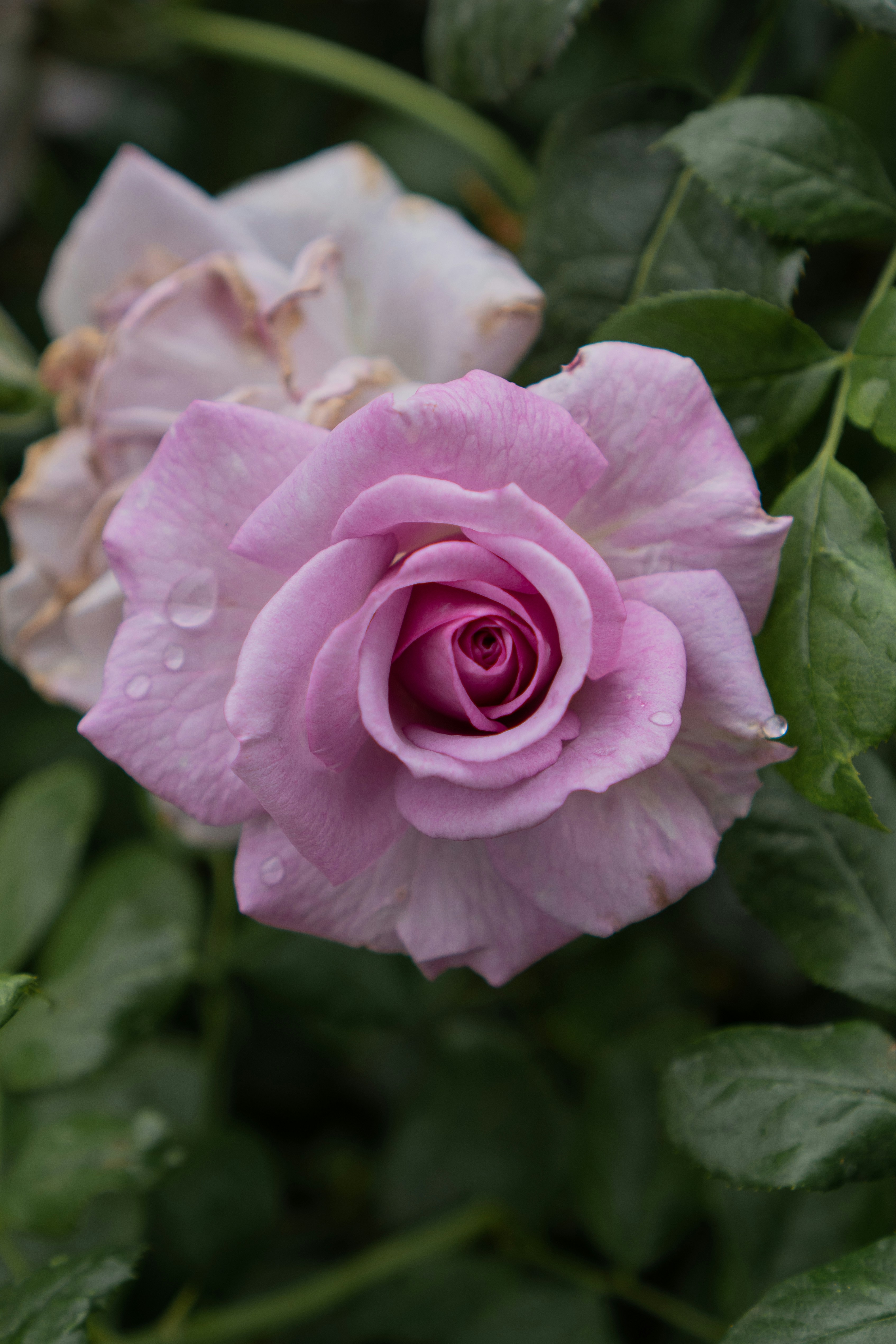 Photo by zhenyao_photo