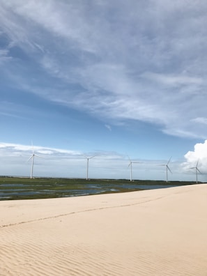 A serene landscape showcasing solar farms under a clear sky.