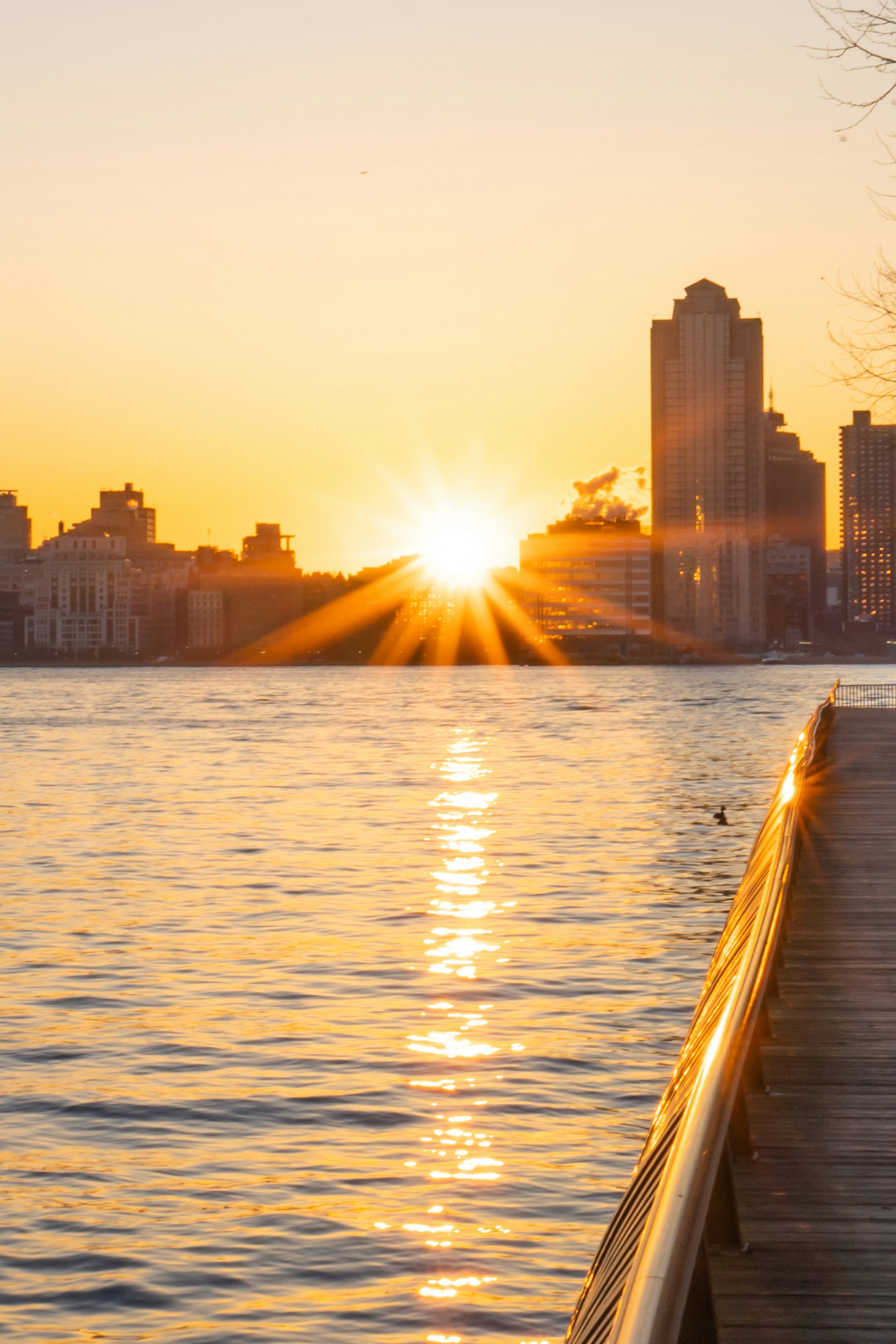 Photo by zhenyao_photo