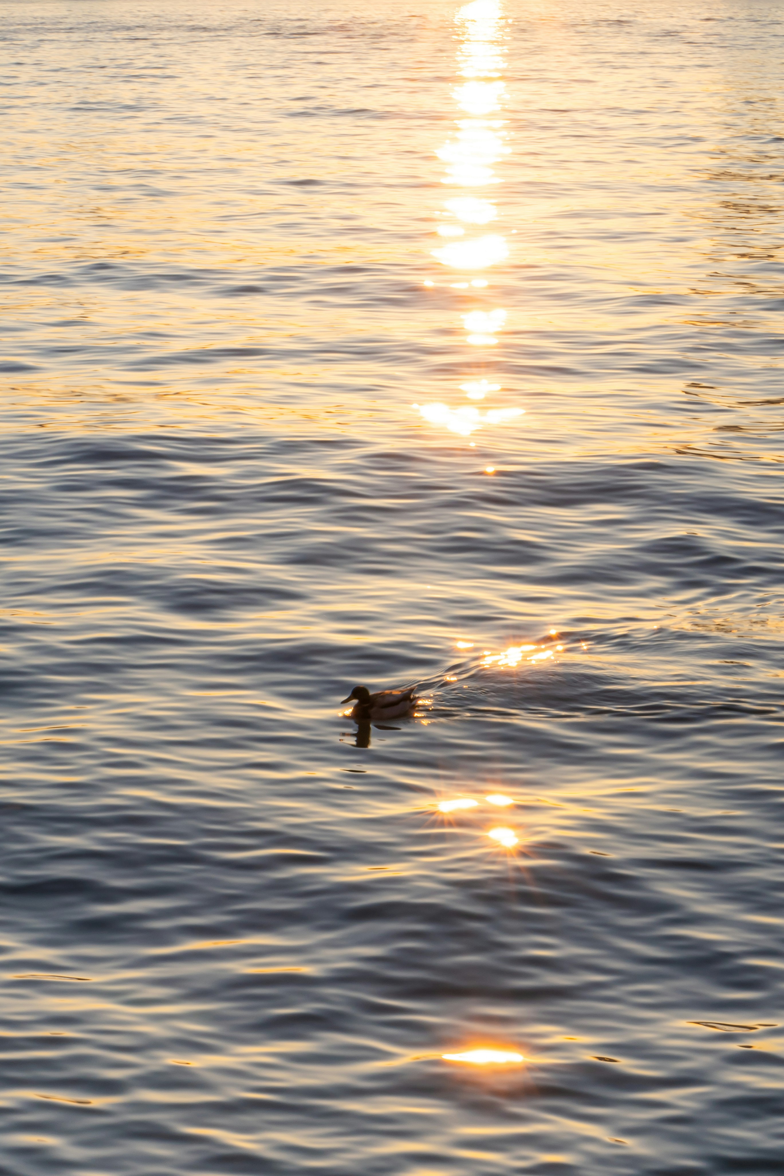 Photo by zhenyao_photo