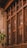 A traditional wooden-framed window with intricate detailing set against a backdrop of a brick wall. The window features multiple glass panes and decorative metallic knobs. Near the lower left corner, a small green tree adds a touch of nature.