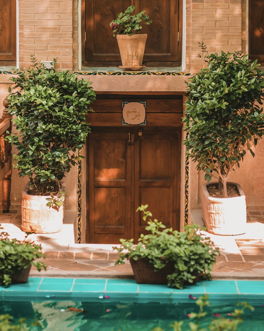 three potted plants sitting next to a wooden door