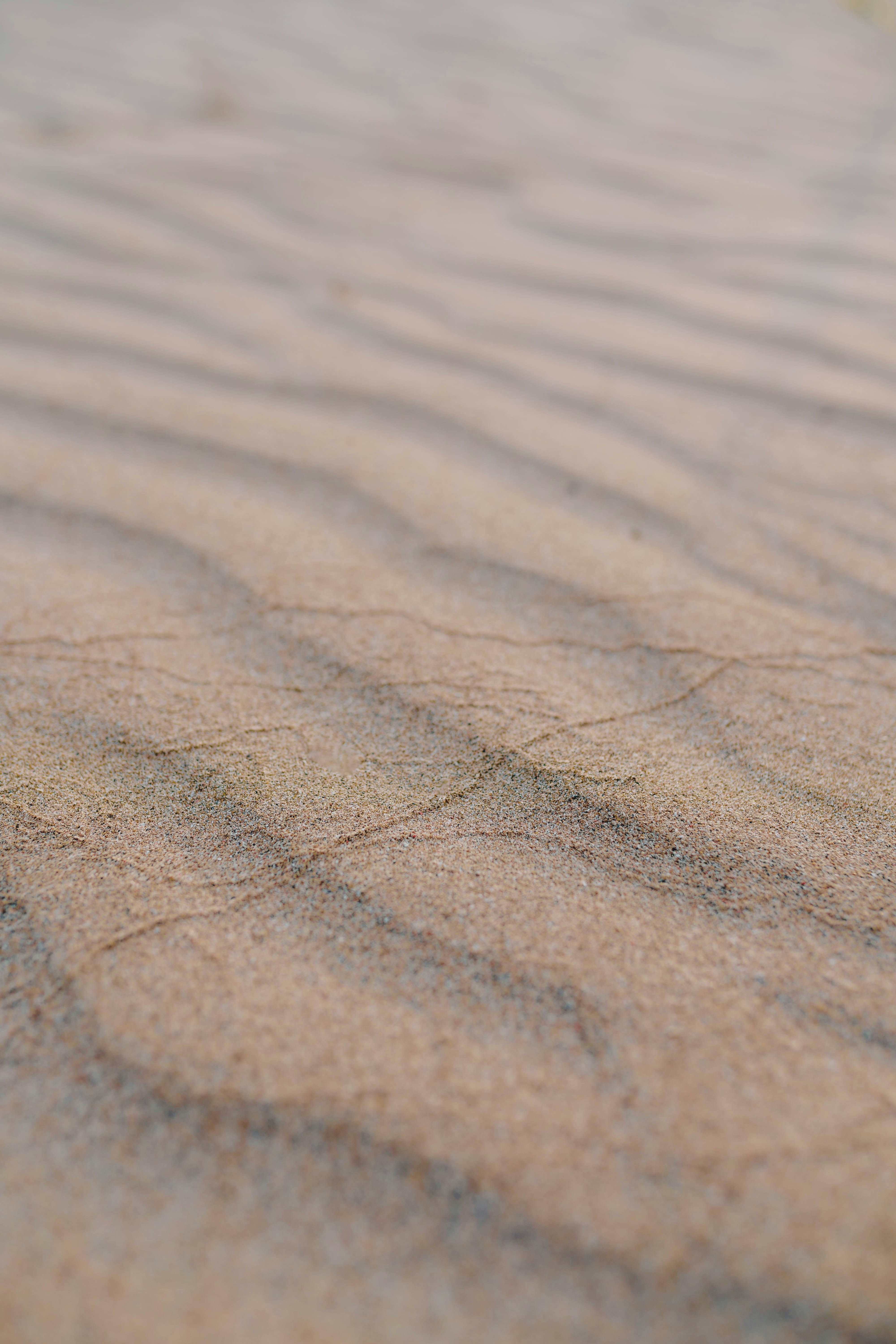 Photo by joellseverino