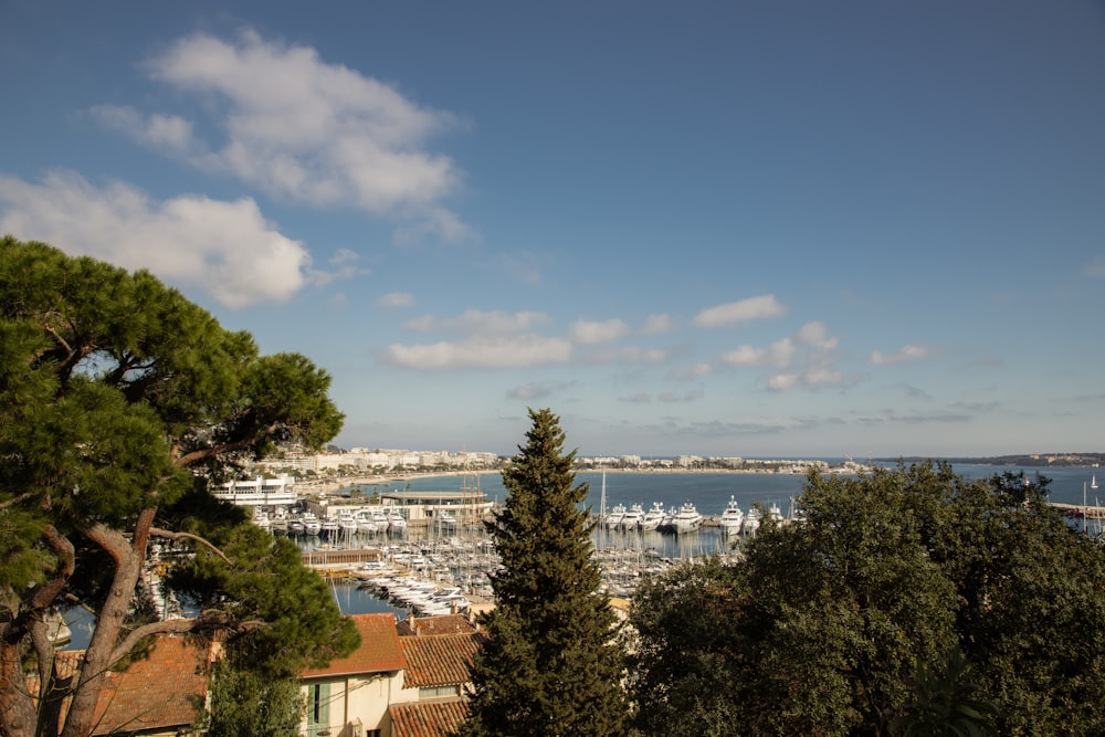 a view of a harbor with boats in the water