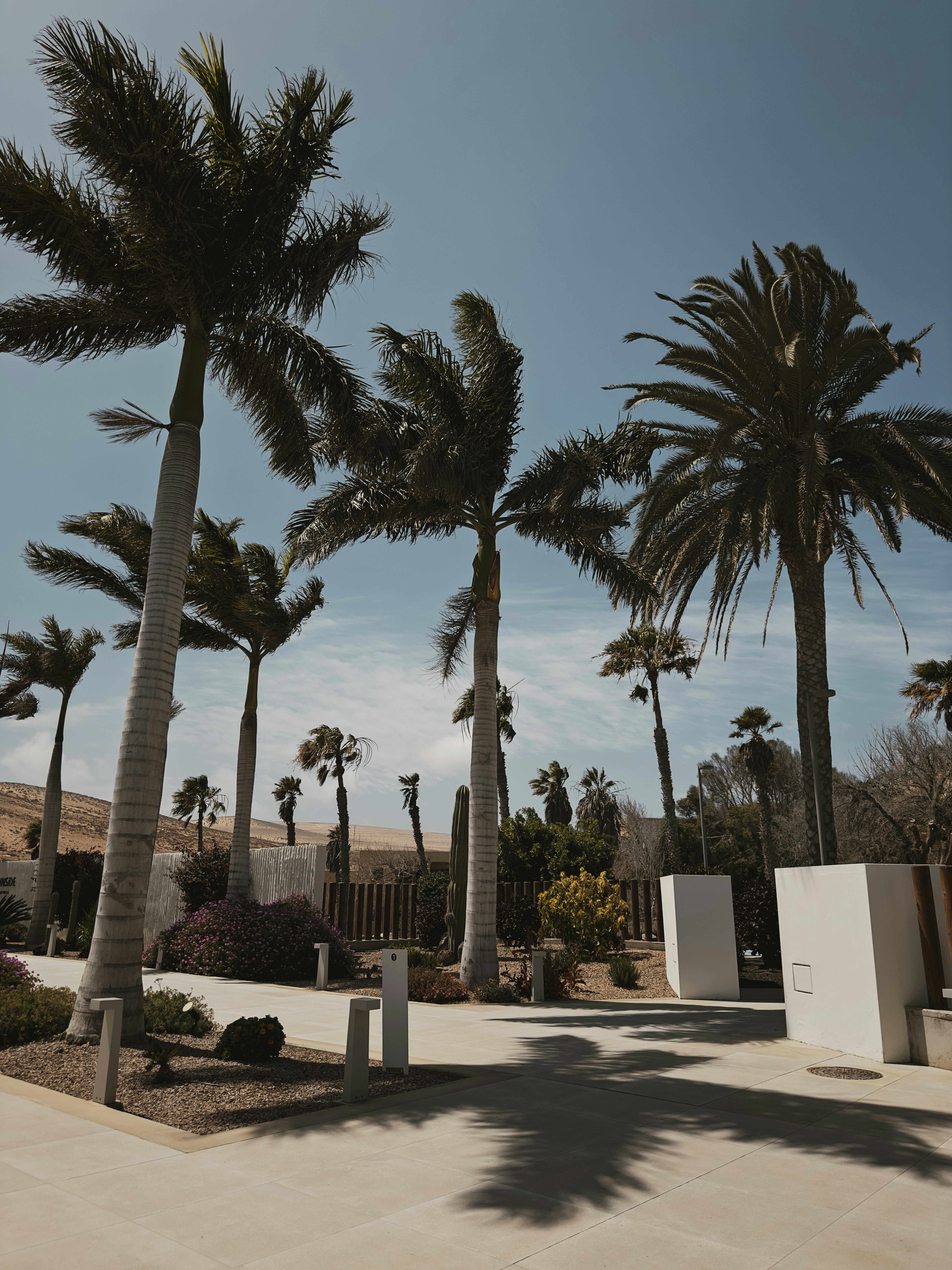 Photo by steffen______