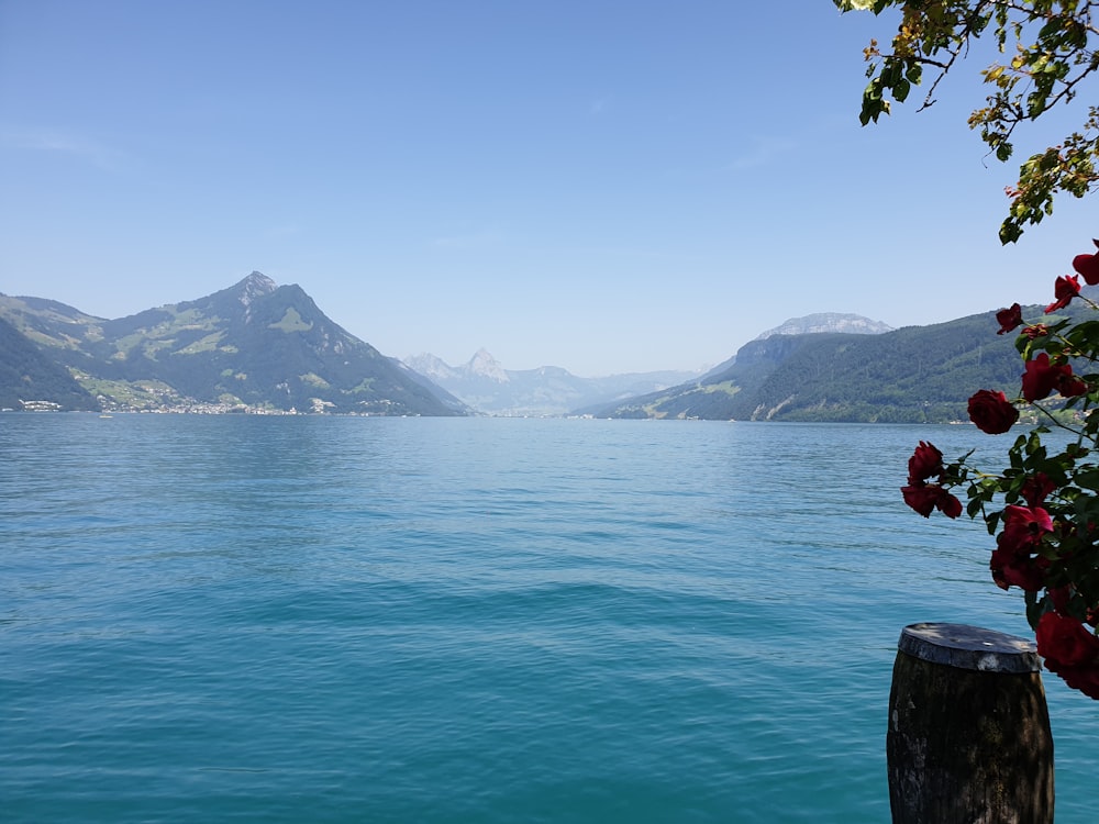 a body of water with mountains in the background