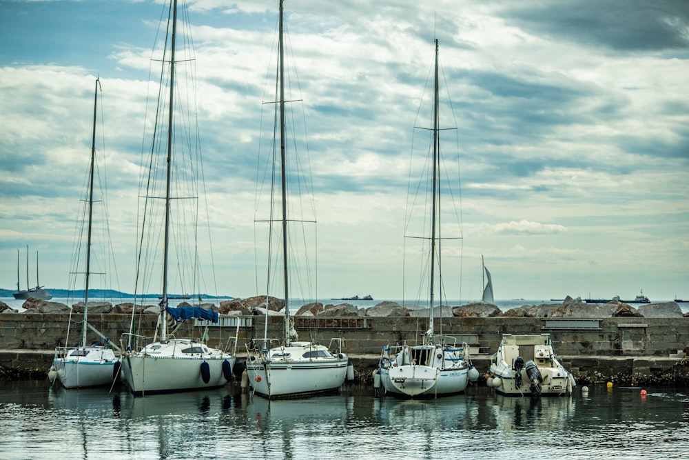 a group of sailboats docked at a pier