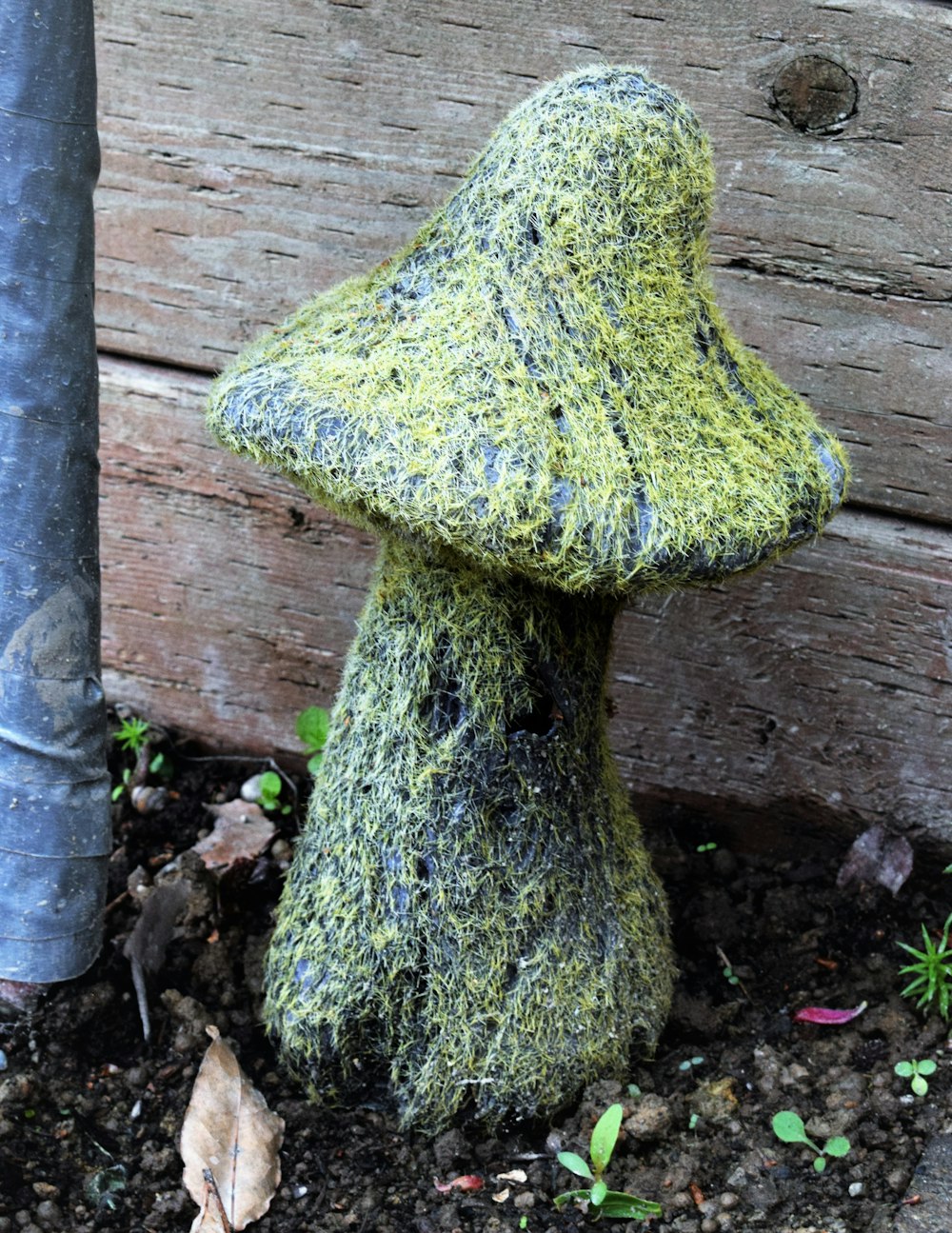 a moss covered mushroom sitting next to a tree