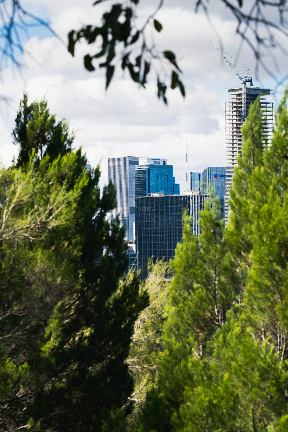 a view of a city with tall buildings and trees