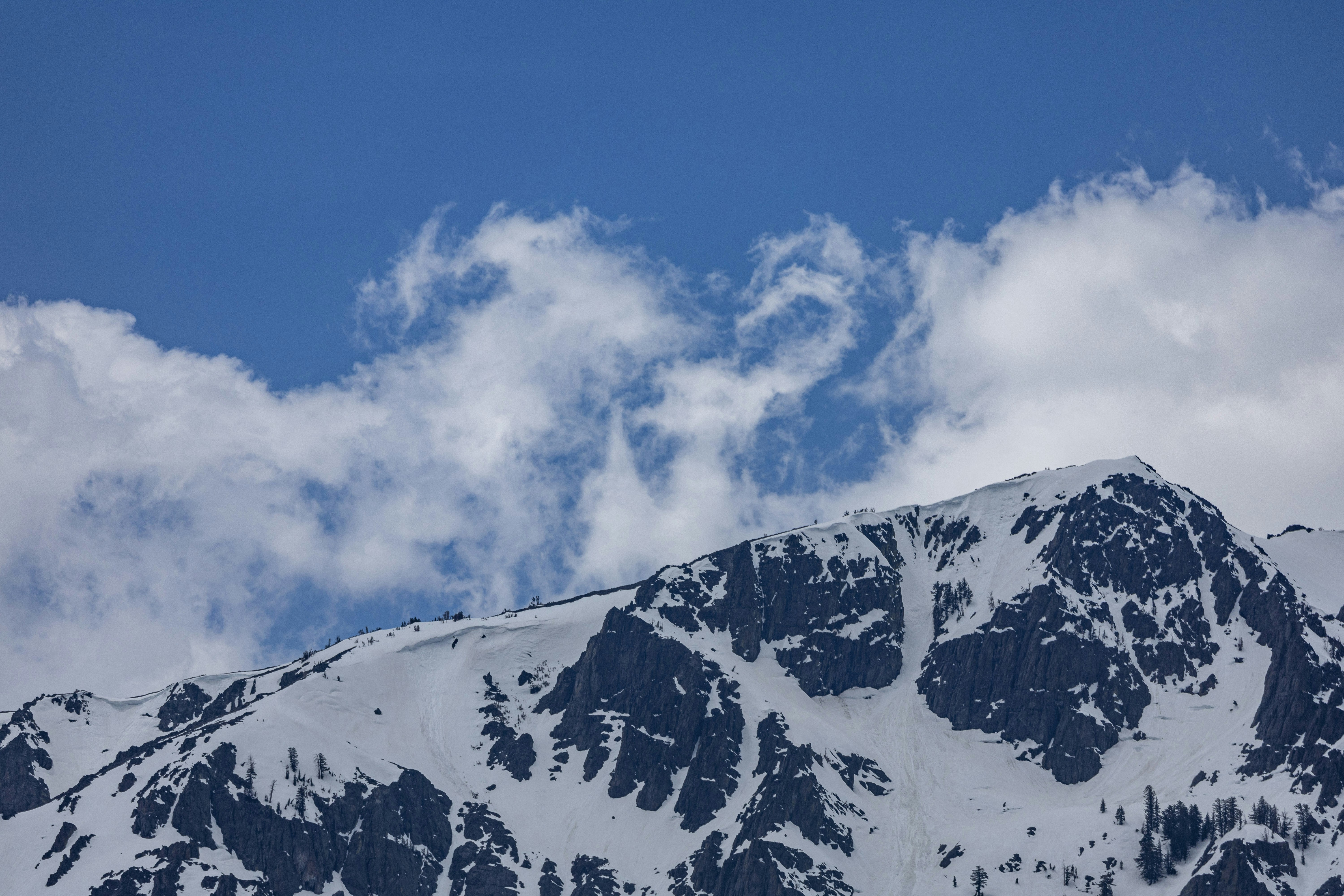 Photo by leo_visions_