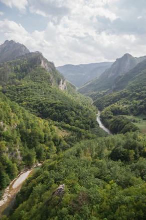 a river running through a lush green valley
