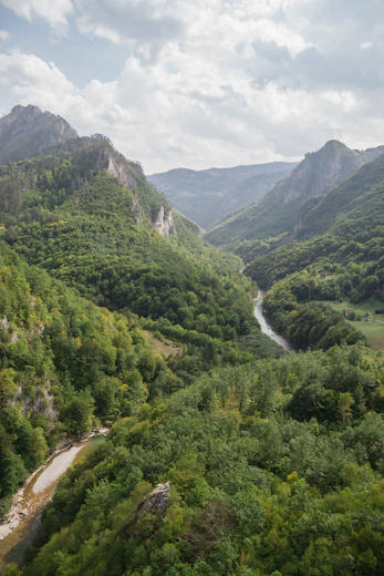 a river running through a lush green valley