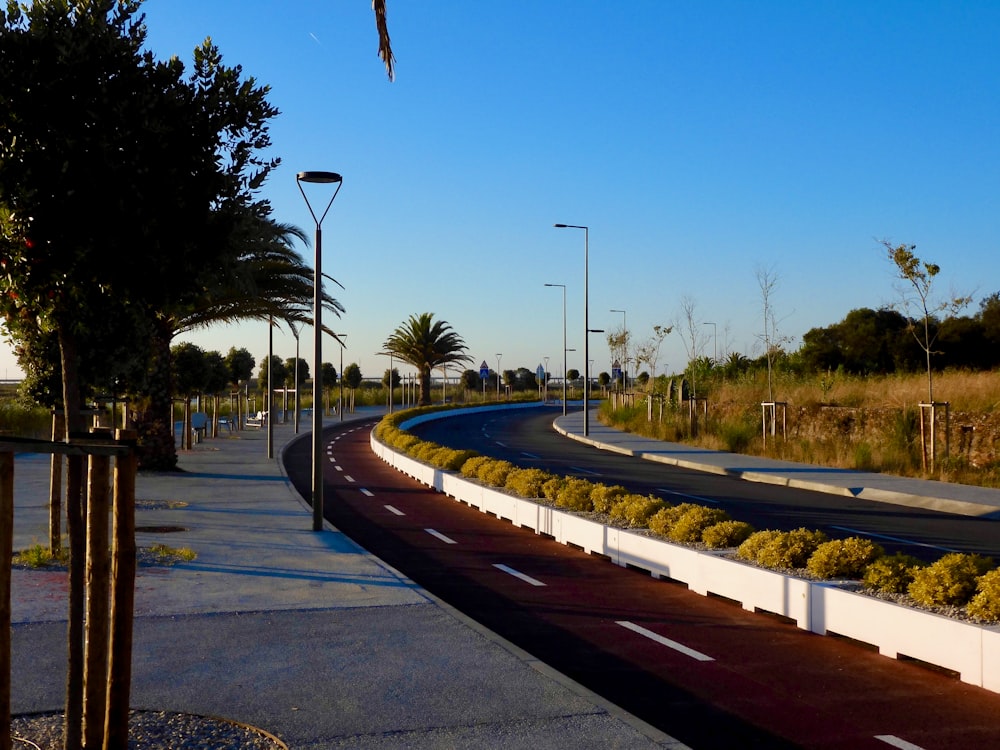 a curved road with trees and bushes on both sides