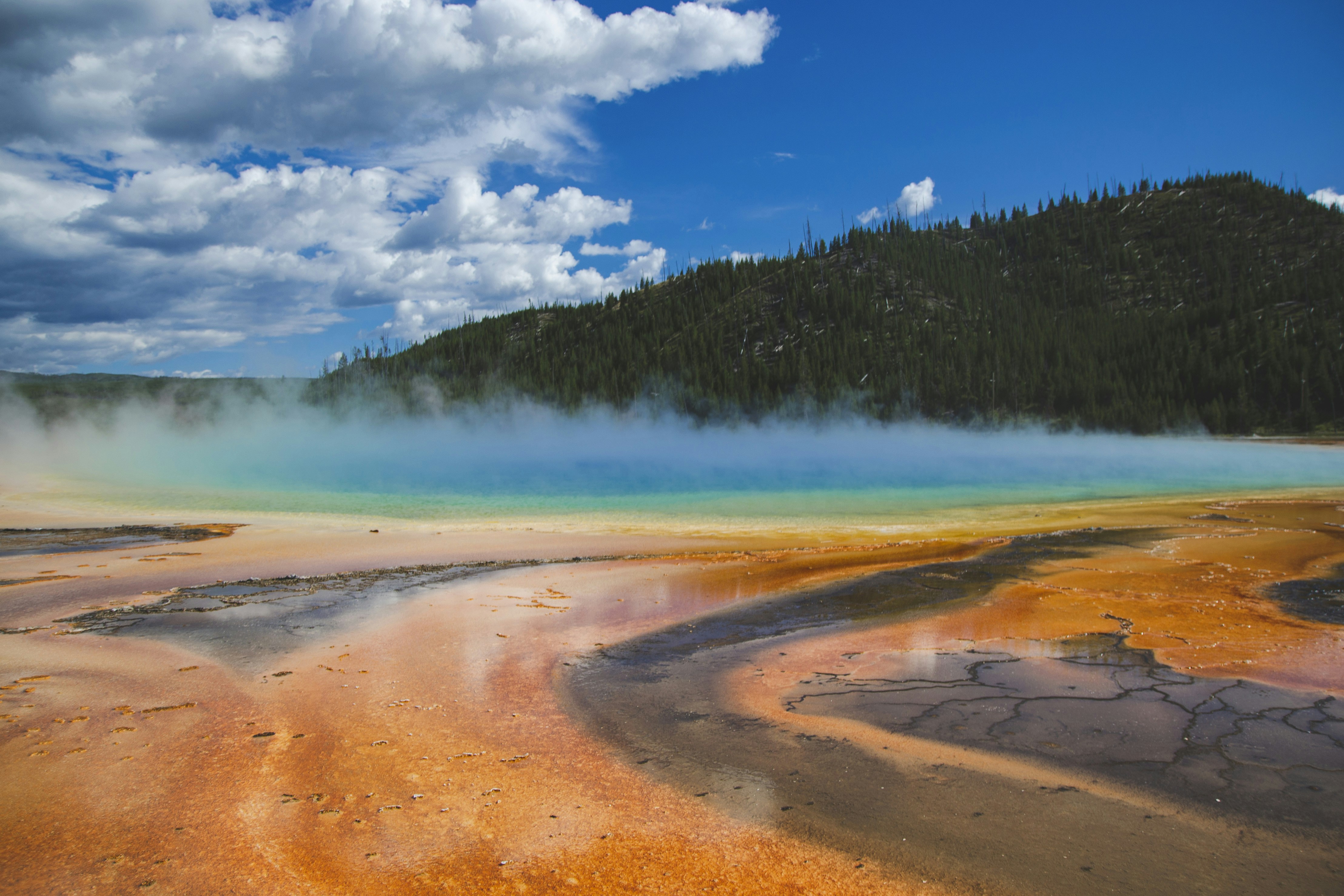 a large body of water surrounded by a forest, Grand prismatic spring in Yellowstone national park, United States of America. Memory card from vacation, travel background, Wyoming nature landscape, colorful geyser. World famous landmarks.