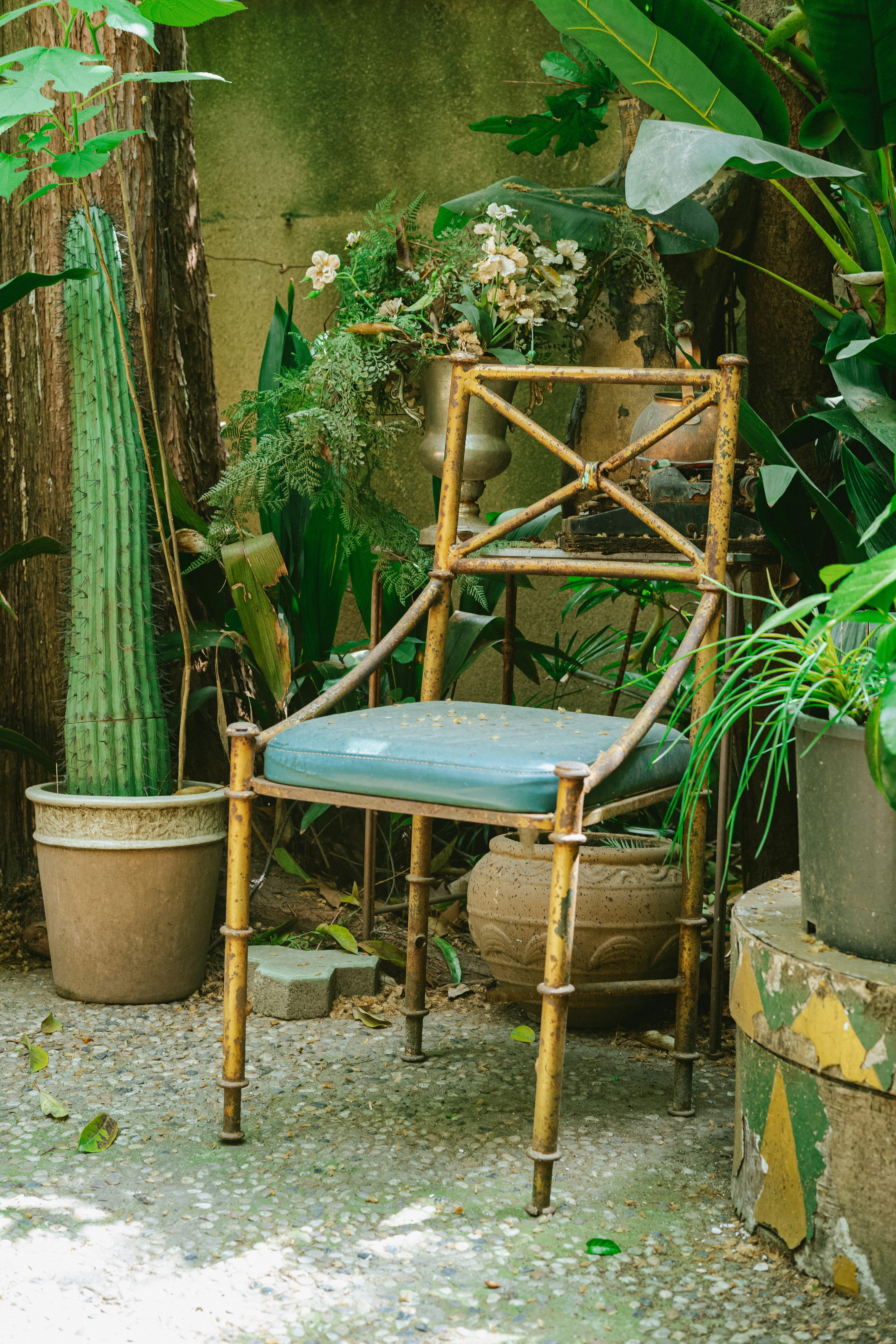 A chair sitting next to a cactus and a potted plant photo  Free Interior  design Image on Unsplash
