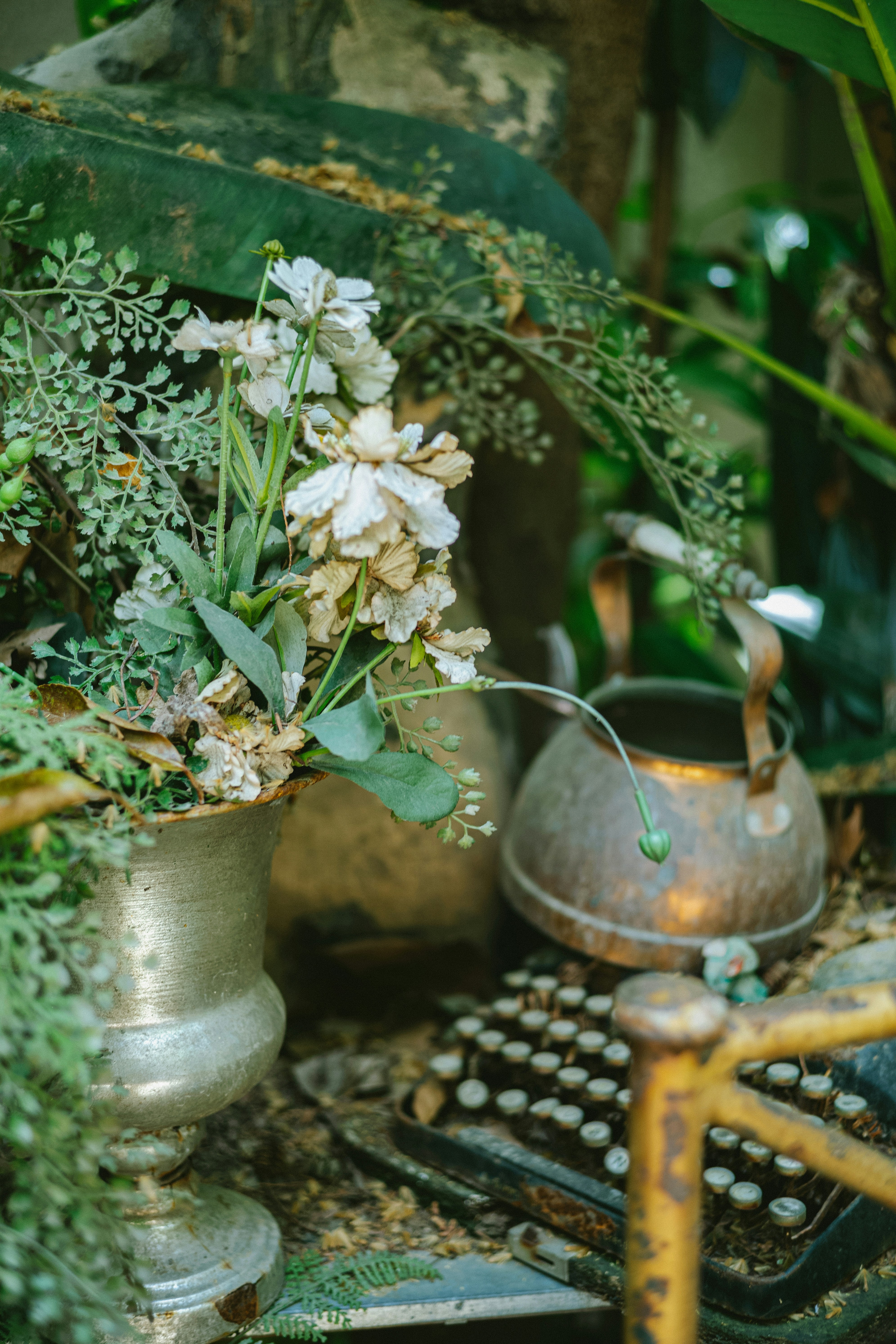 Photo by tommaomaoer