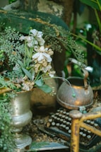 A cozy garden nook with a vintage typewriter and scattered story notes beneath a leafy hedge.