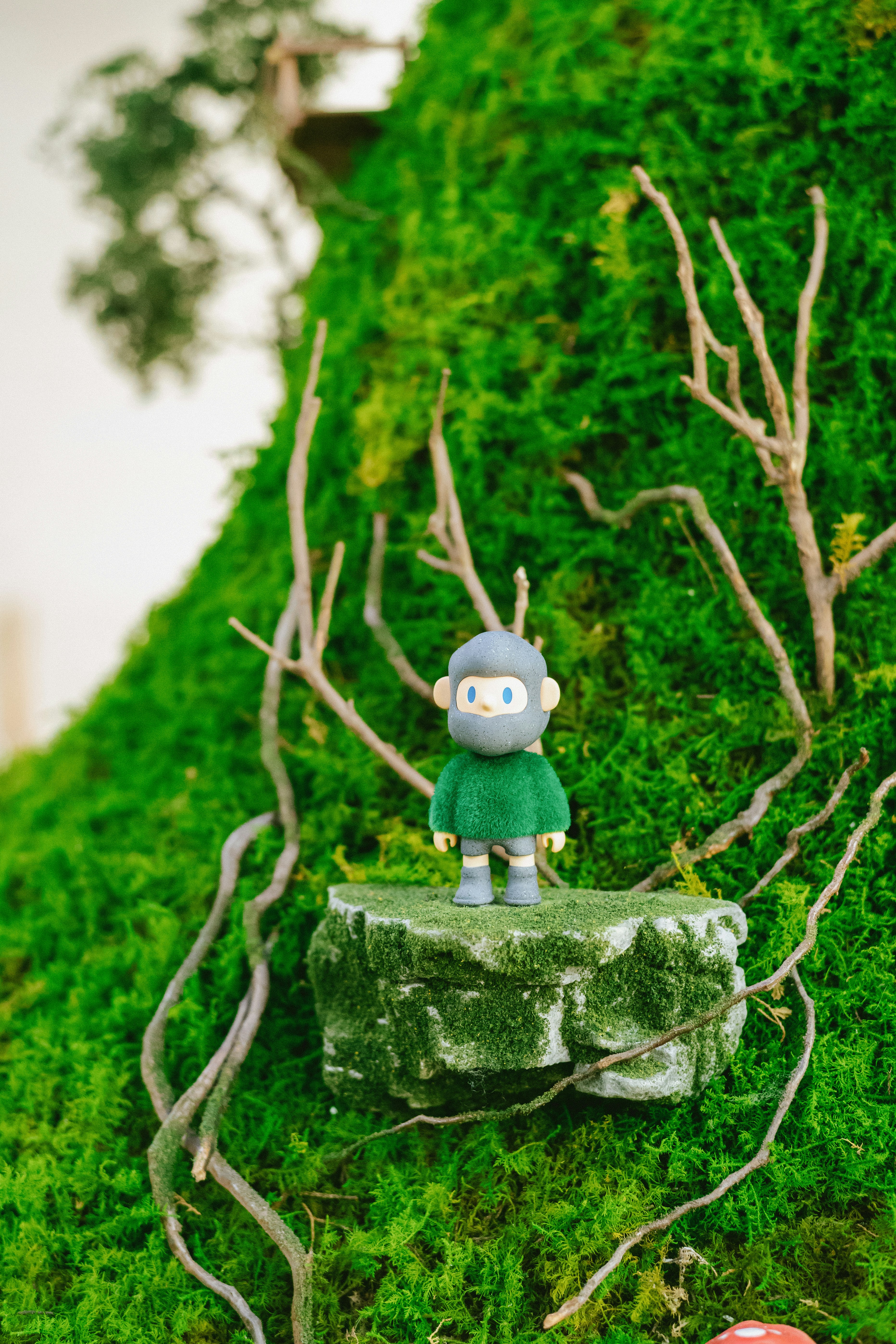 Photo by tommaomaoer