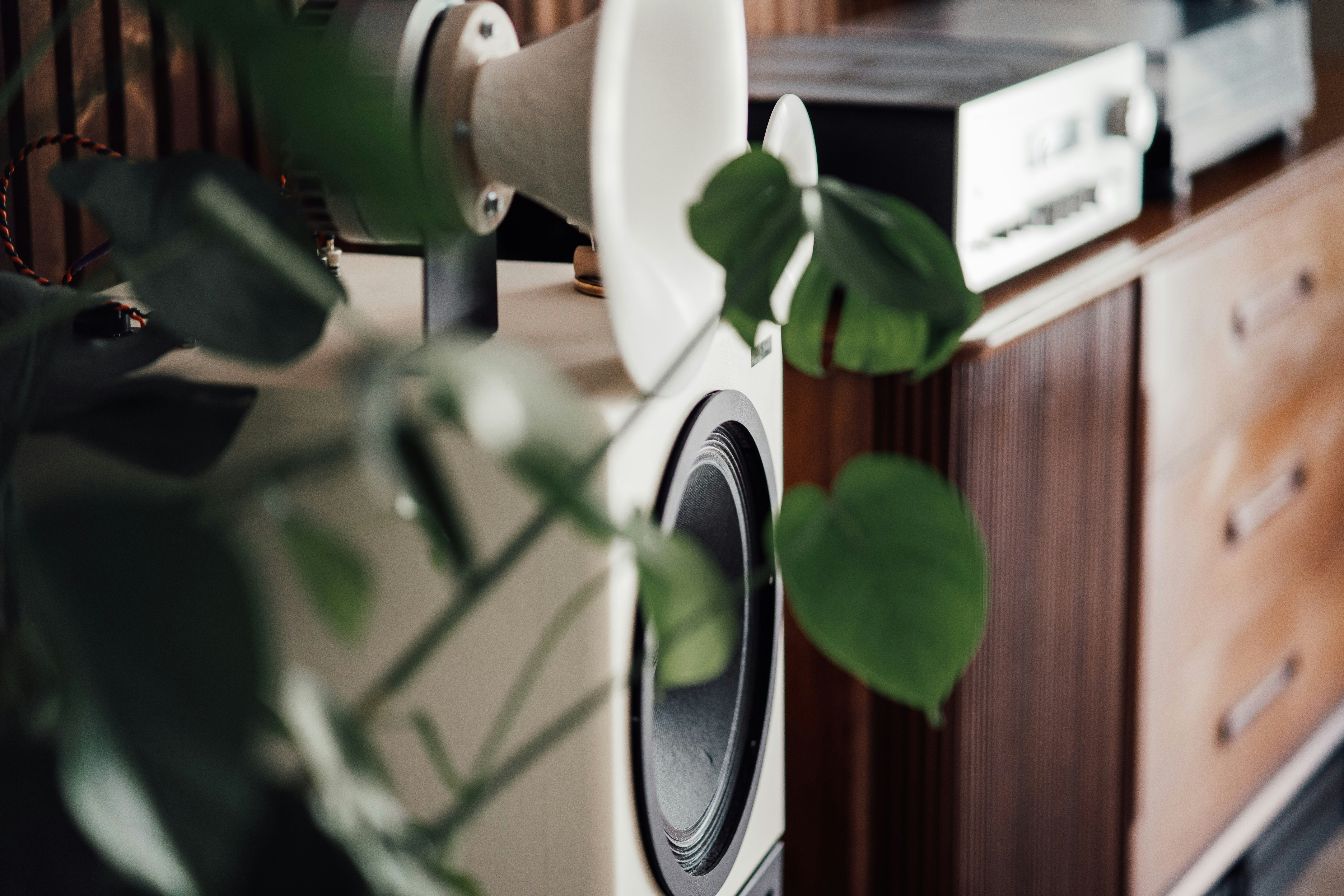 a close up of a speaker with a plant in front of it