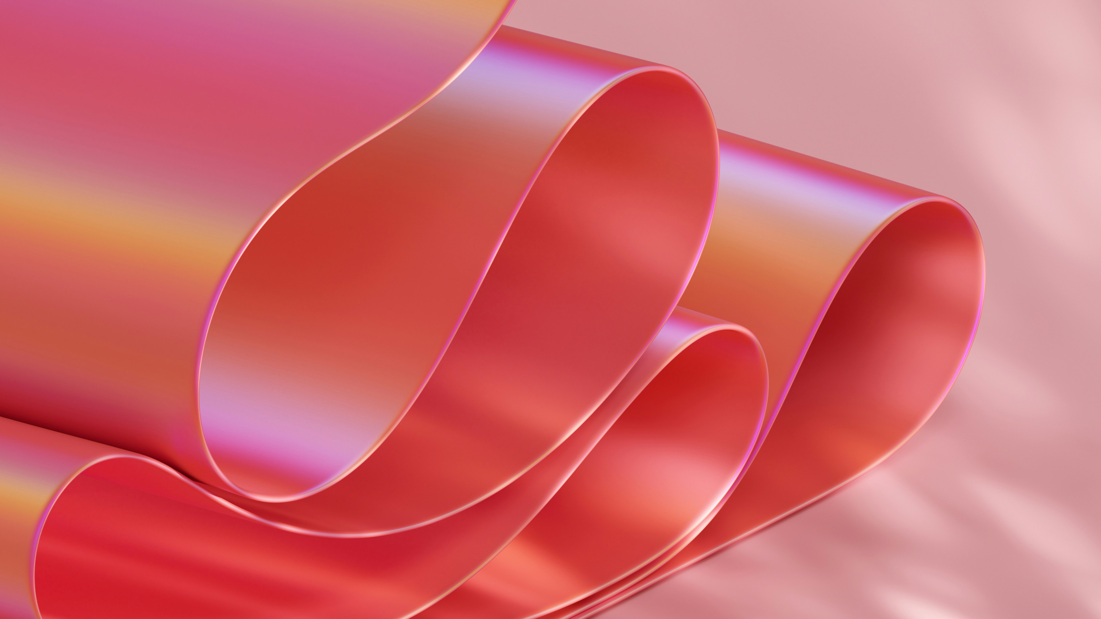 a close up of a rolled up piece of paper