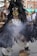 A person wearing elaborate traditional attire with a headdress made of black feathers and a mask with a skeletal design. They are surrounded by smoke and appear to be performing in an outdoor setting with an audience in the background.