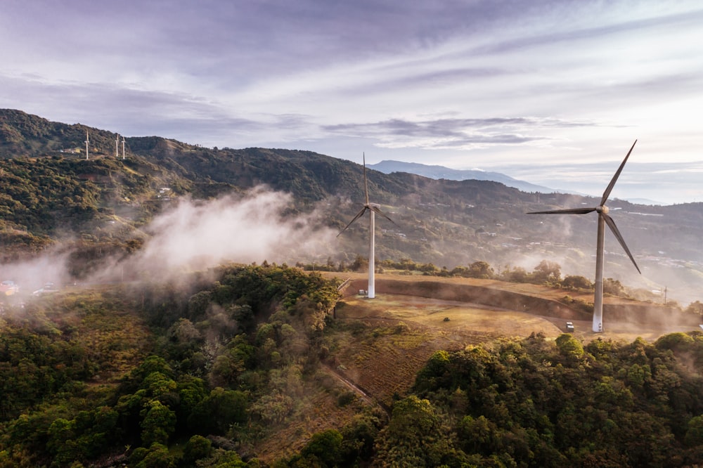 a wind farm in the middle of a forest