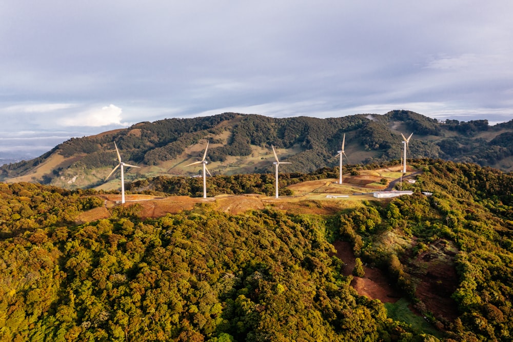 a group of wind turbines on top of a lush green hillside
