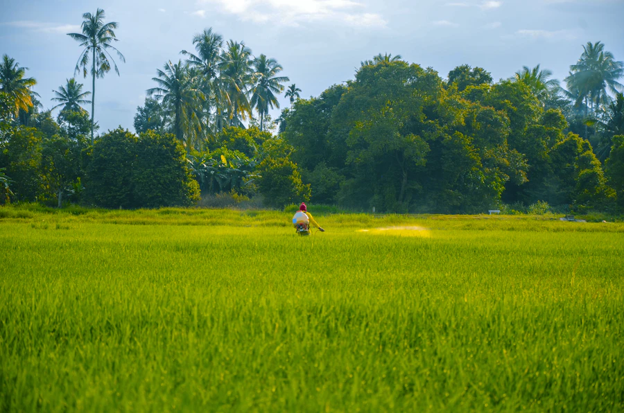 In the field