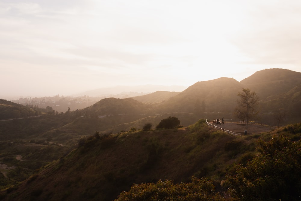 a scenic view of a hilly area with trees and mountains in the background