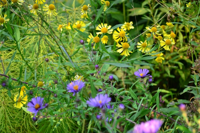 A vibrant painting of wildflowers dancing under a sunny sky, showcasing colorful brushstrokes full of life.