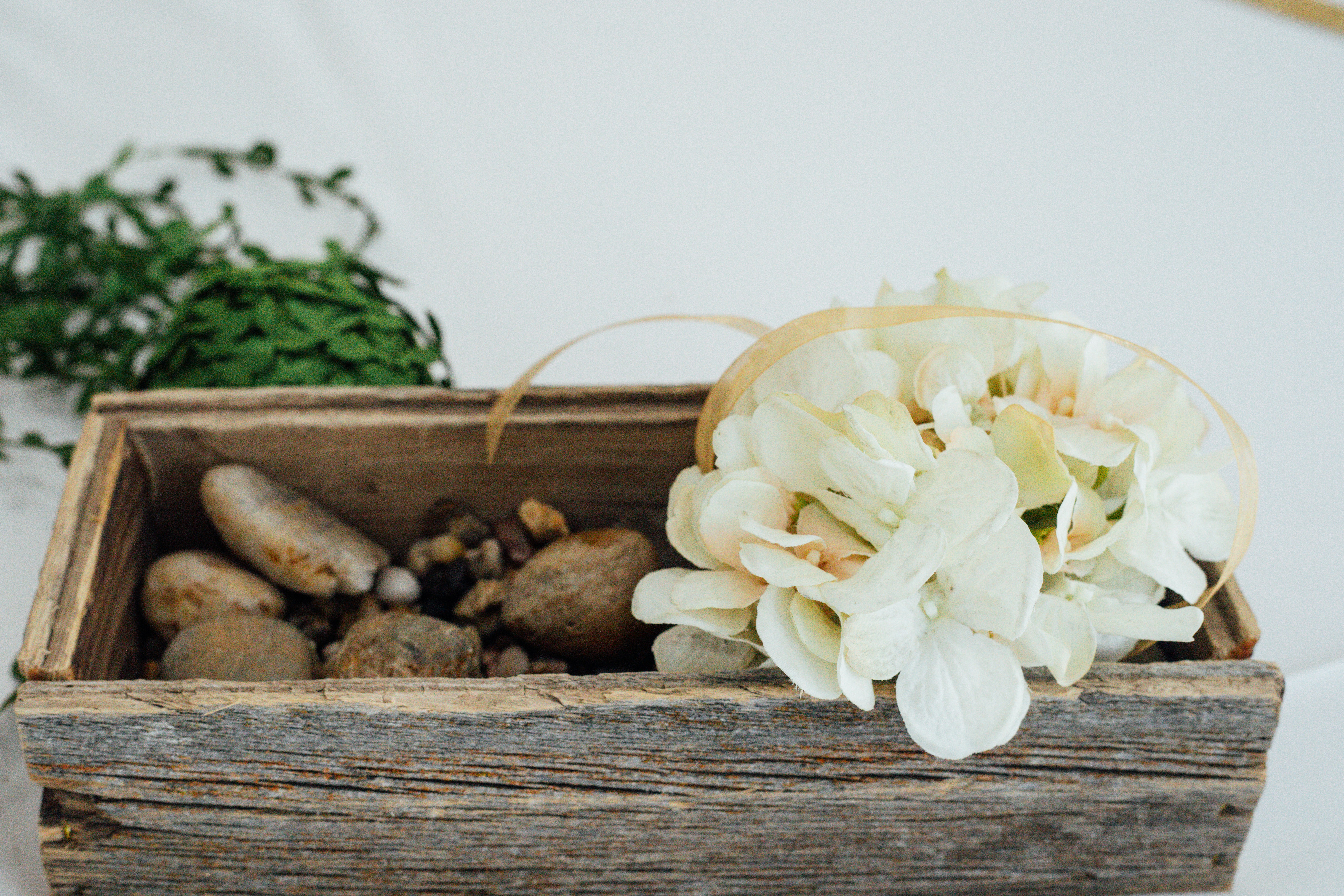 Photo by photosoflogan