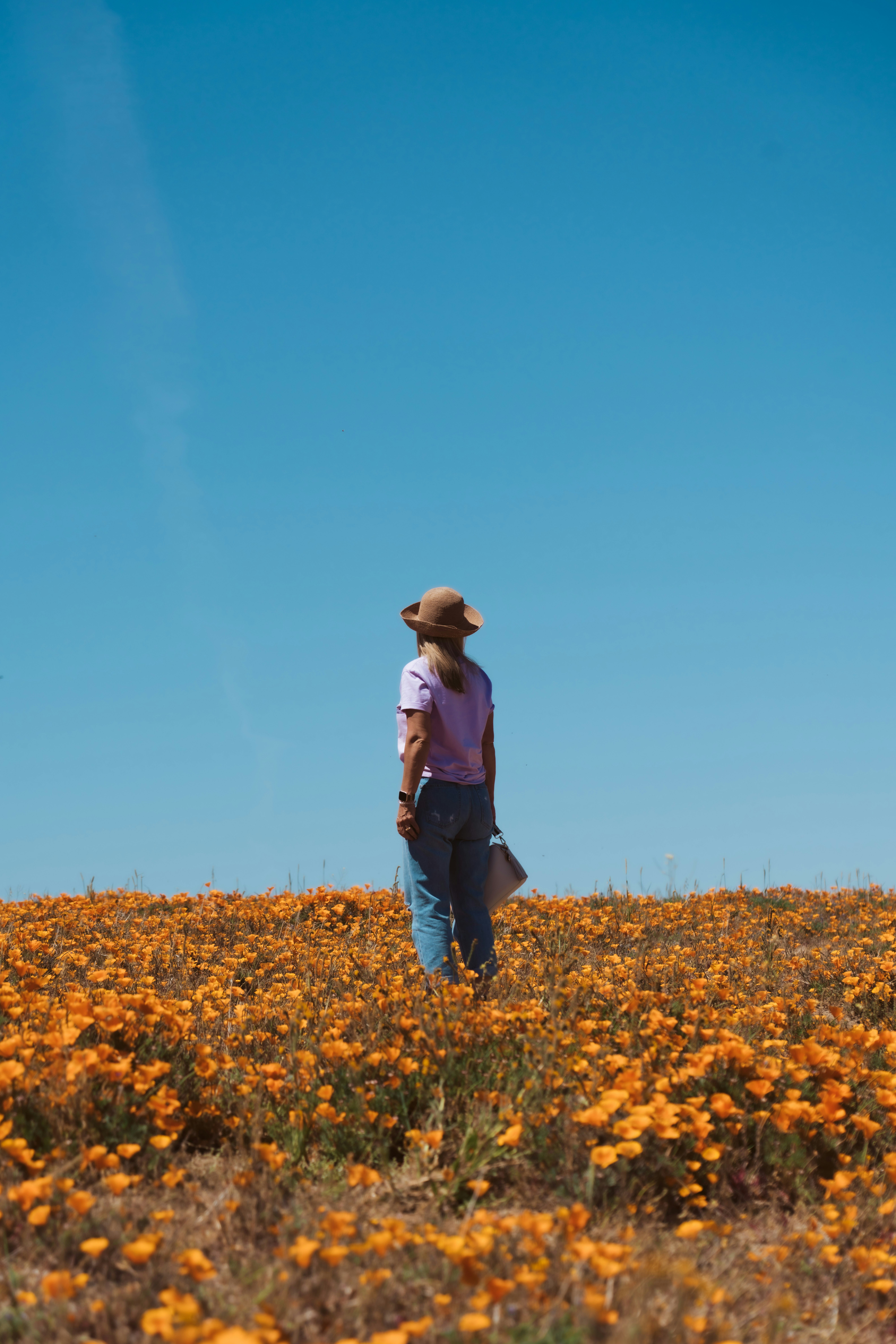 a person standing in a field of flowers