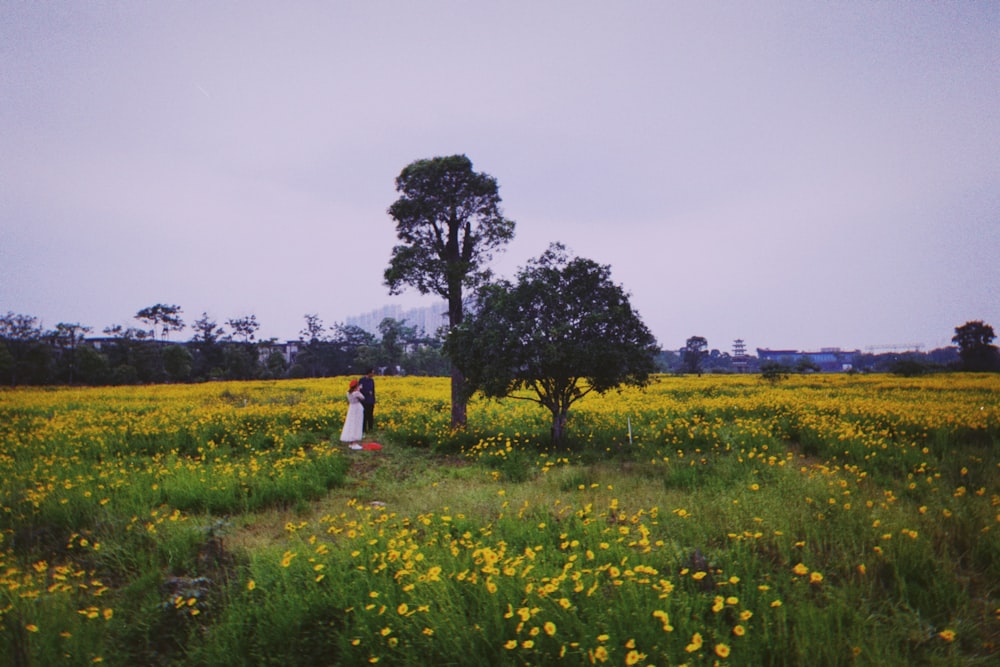 노란 꽃밭에 서 있는 여자