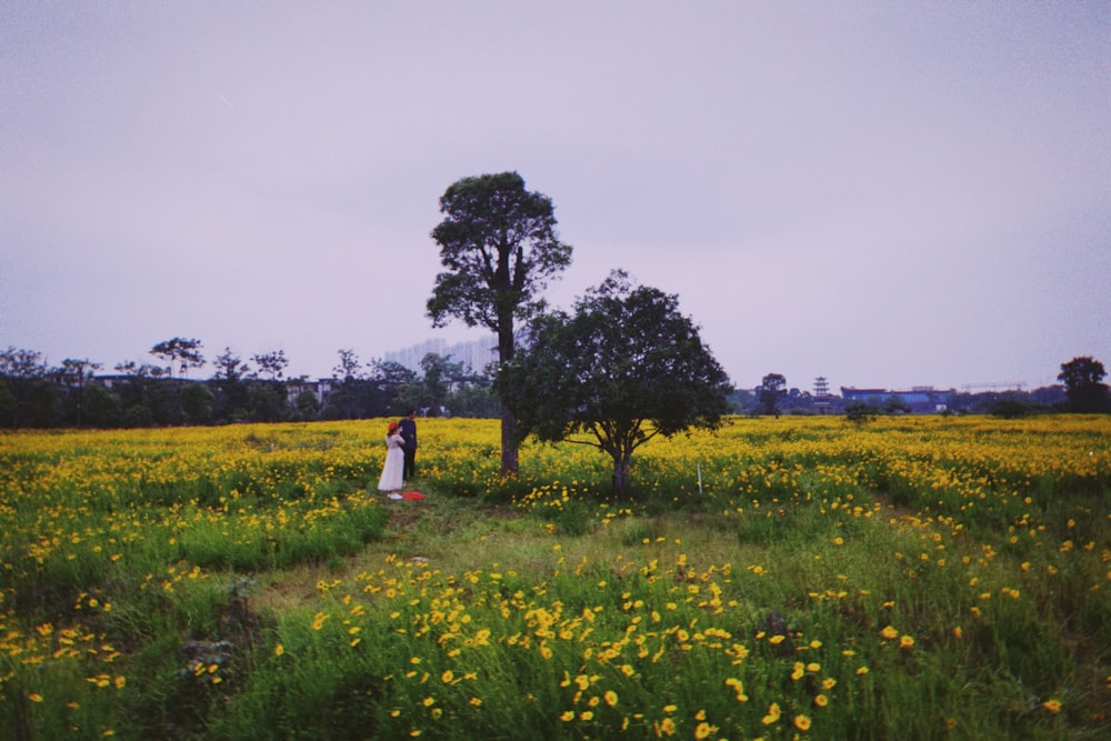 a woman standing in a field of yellow flowers