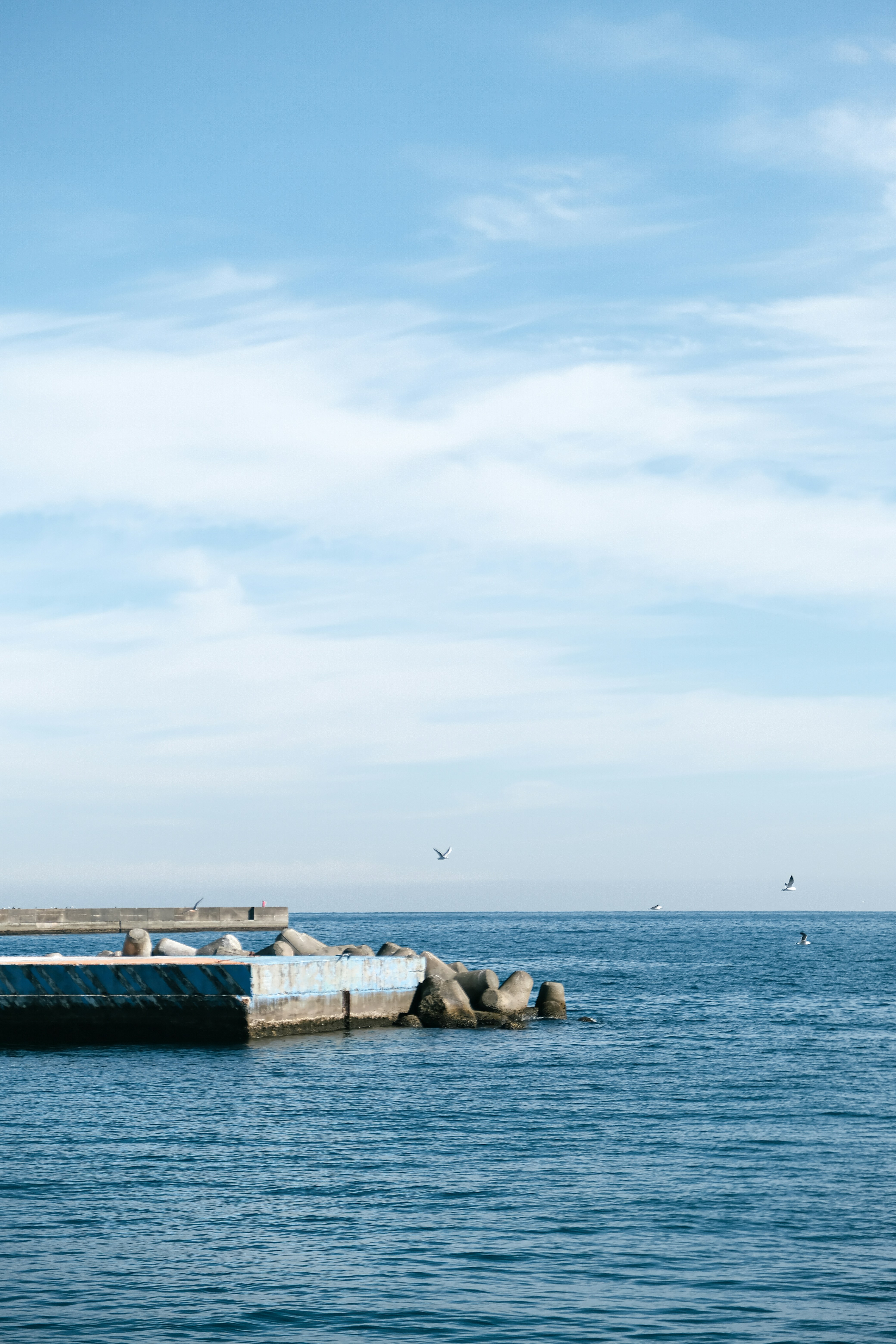 Photo by chanwei_snap