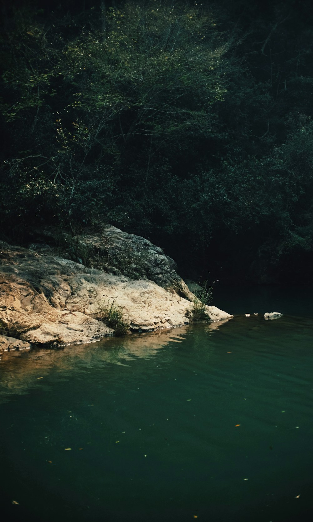 a body of water surrounded by trees and rocks