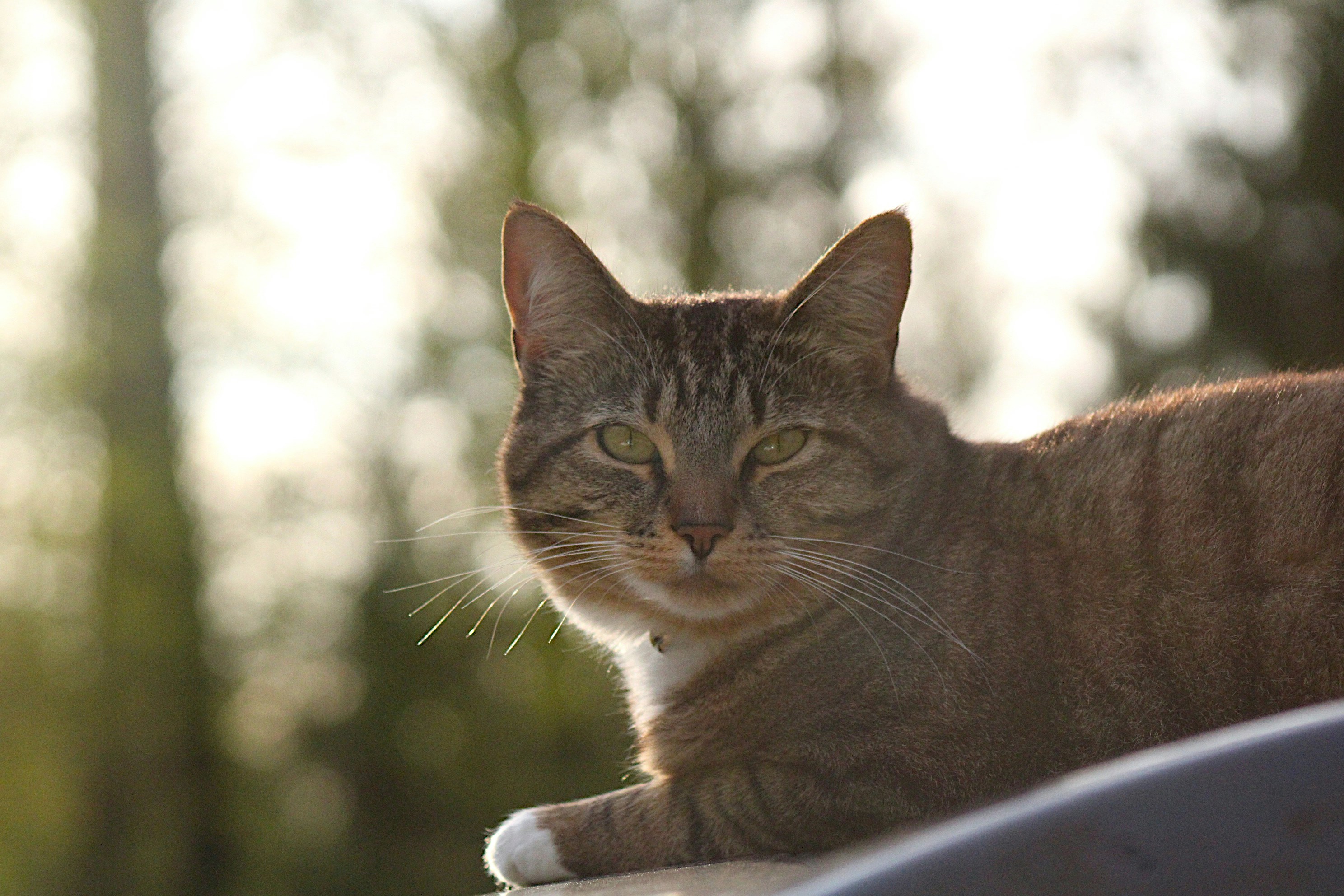 Photo by isaacstevenlind